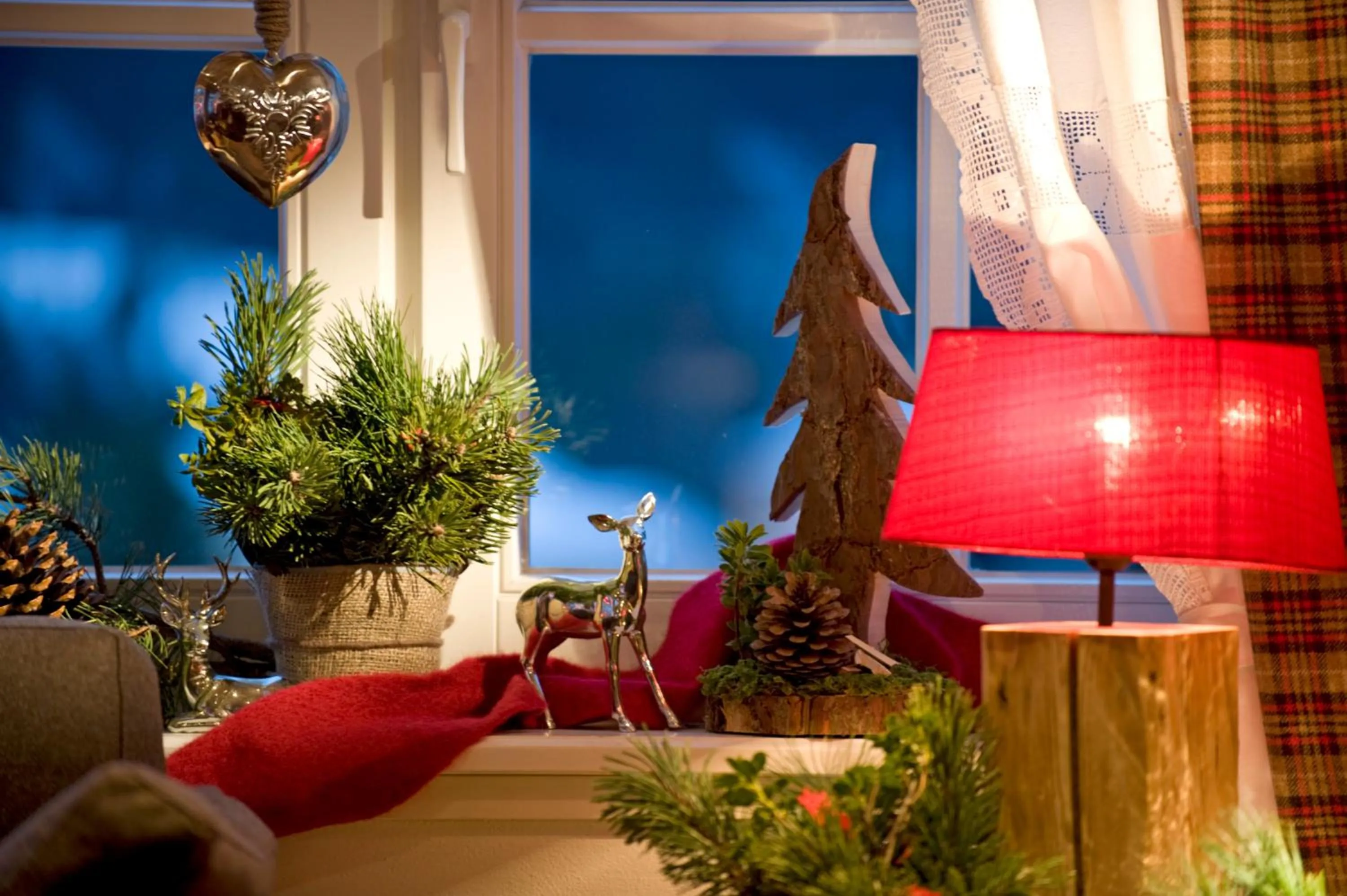 Area and facilities in Hotel Sonnenhof