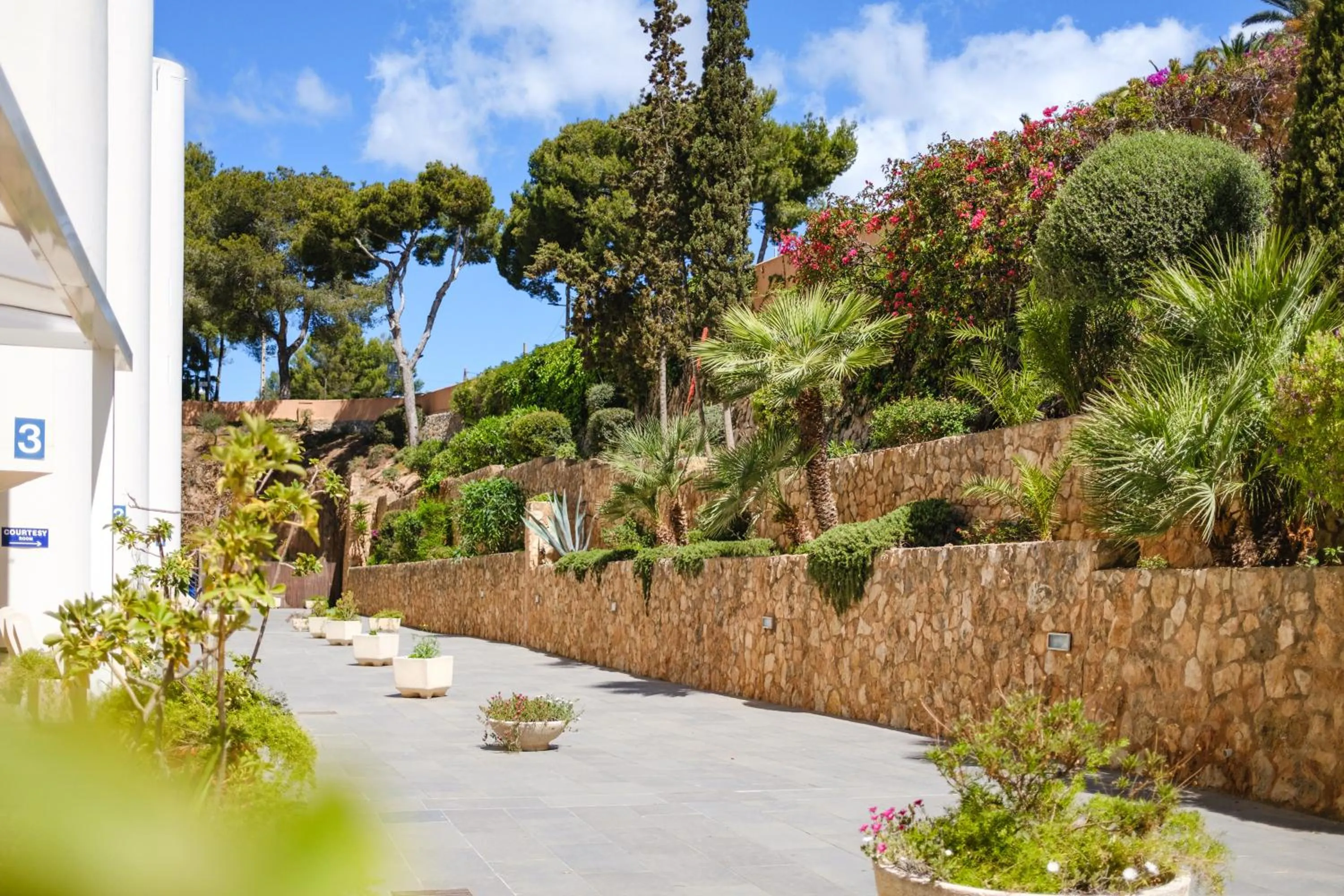 Garden in Apartamentos Vista Club