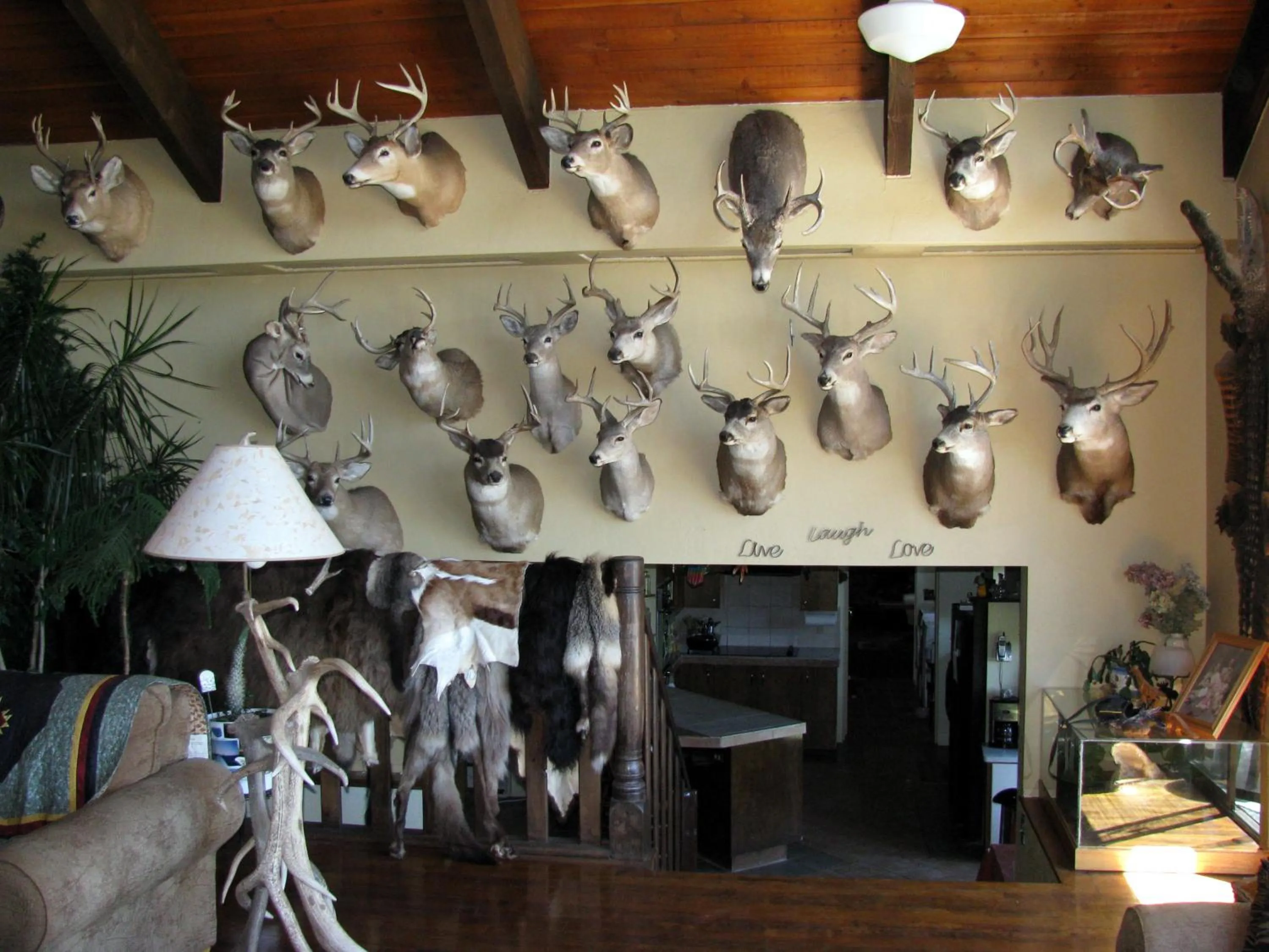 Seating area in Whitebird Summit Lodge