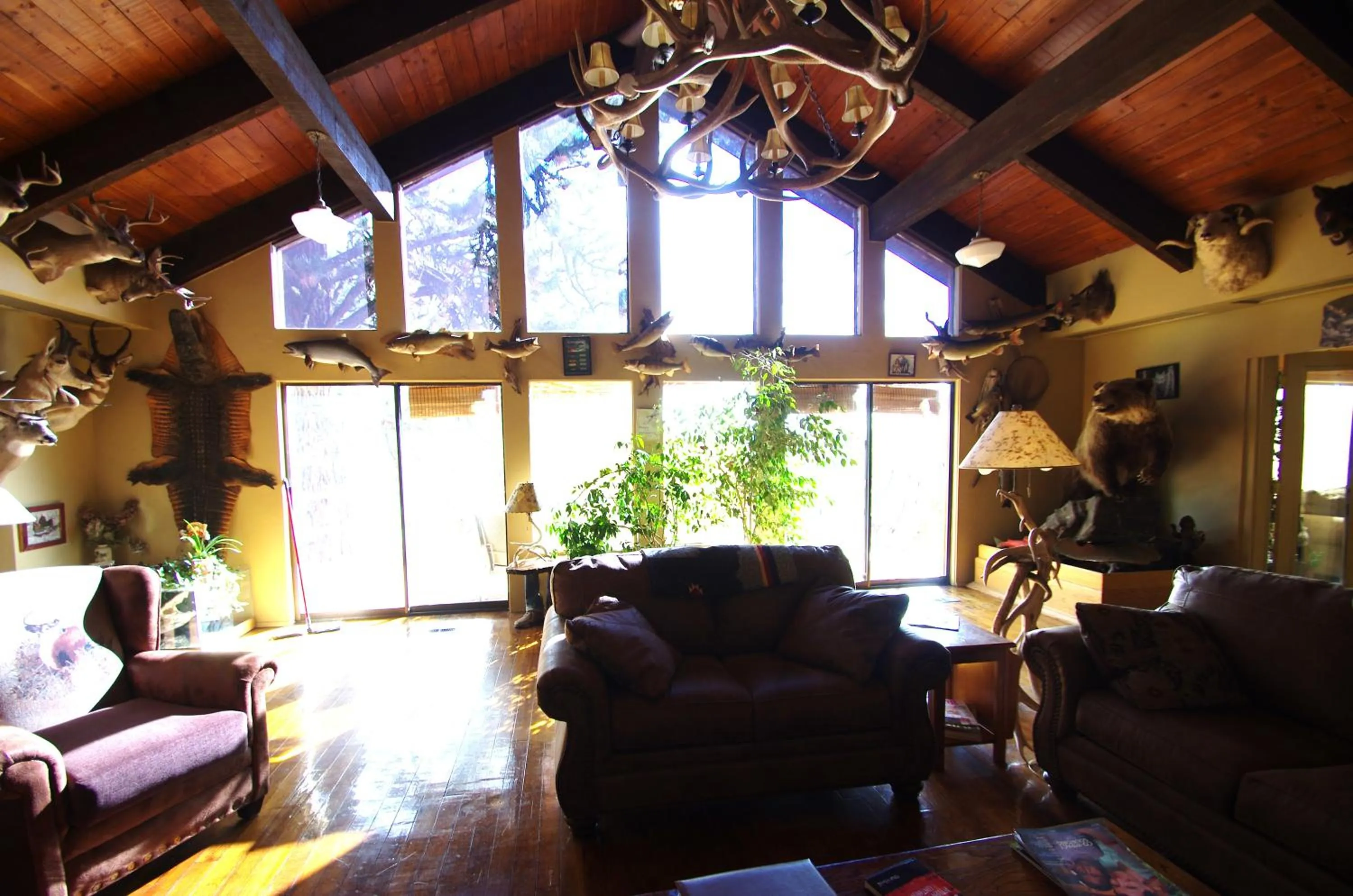Living room in Whitebird Summit Lodge