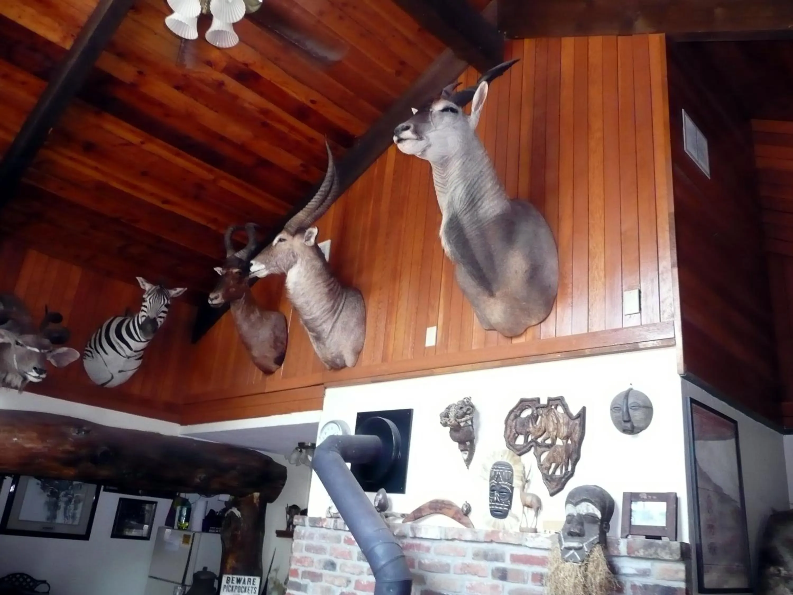 Activities in Whitebird Summit Lodge