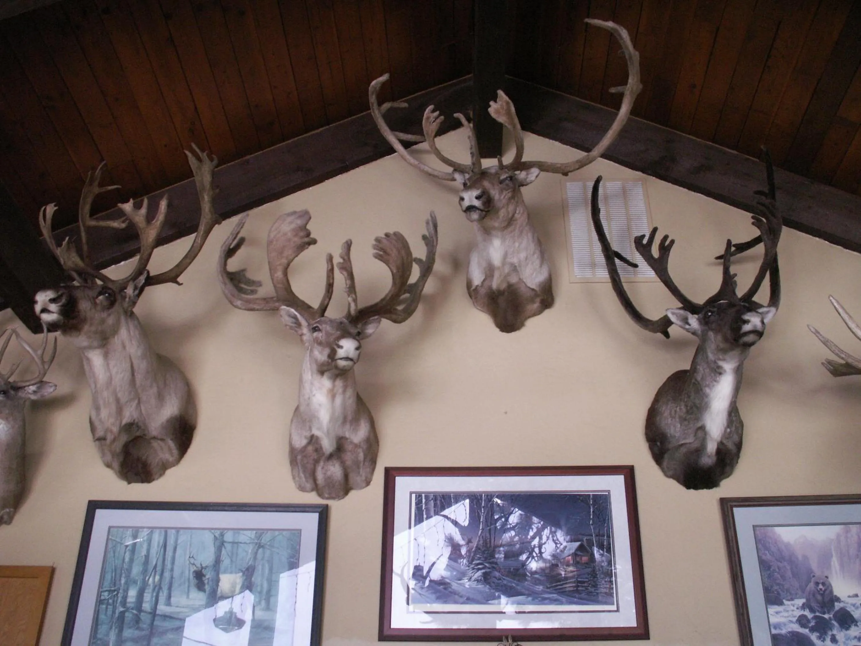 Decorative detail in Whitebird Summit Lodge