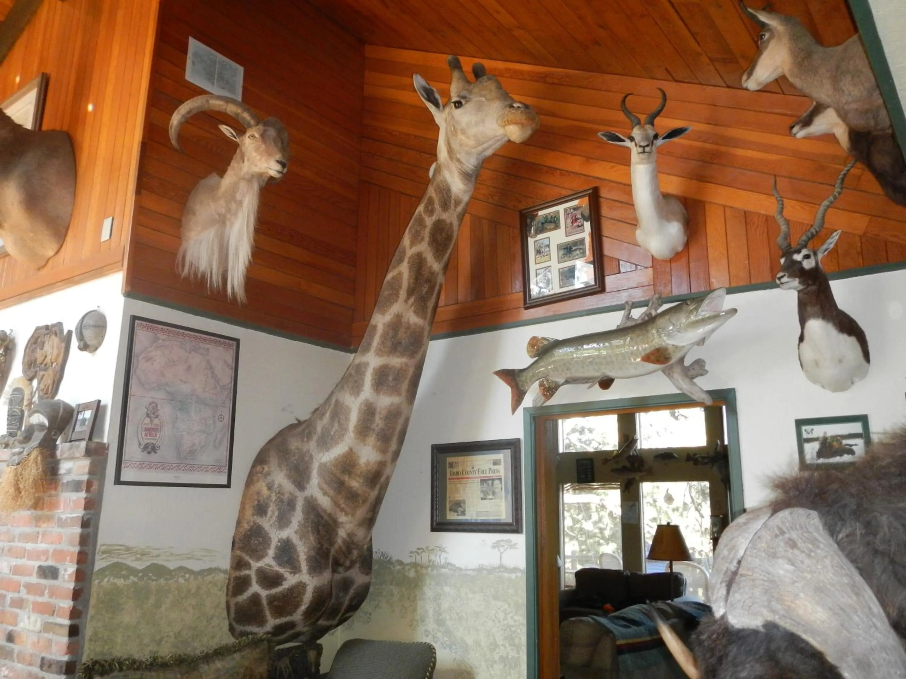 Seating area in Whitebird Summit Lodge