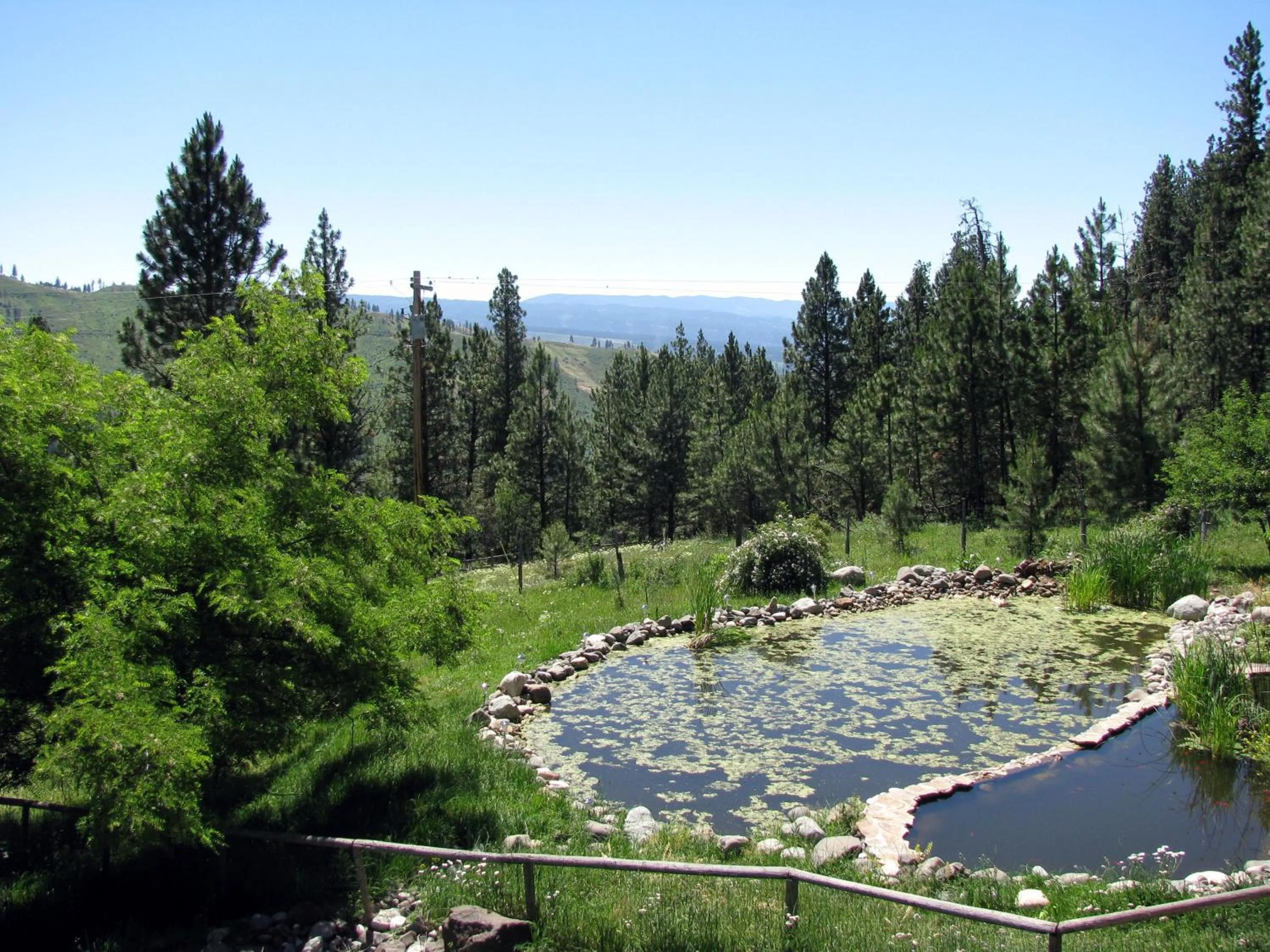 Natural landscape in Whitebird Summit Lodge