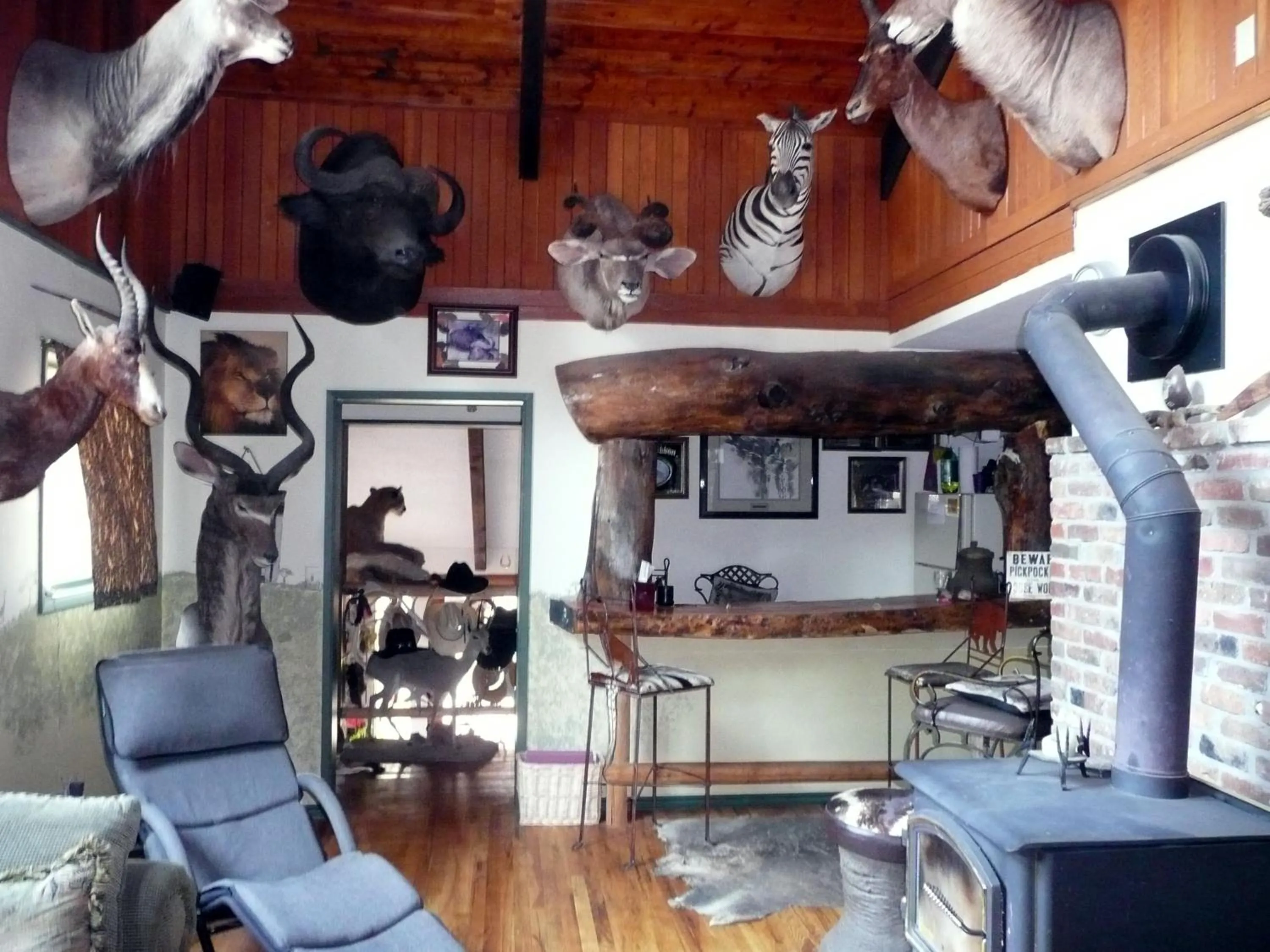 Lounge or bar in Whitebird Summit Lodge