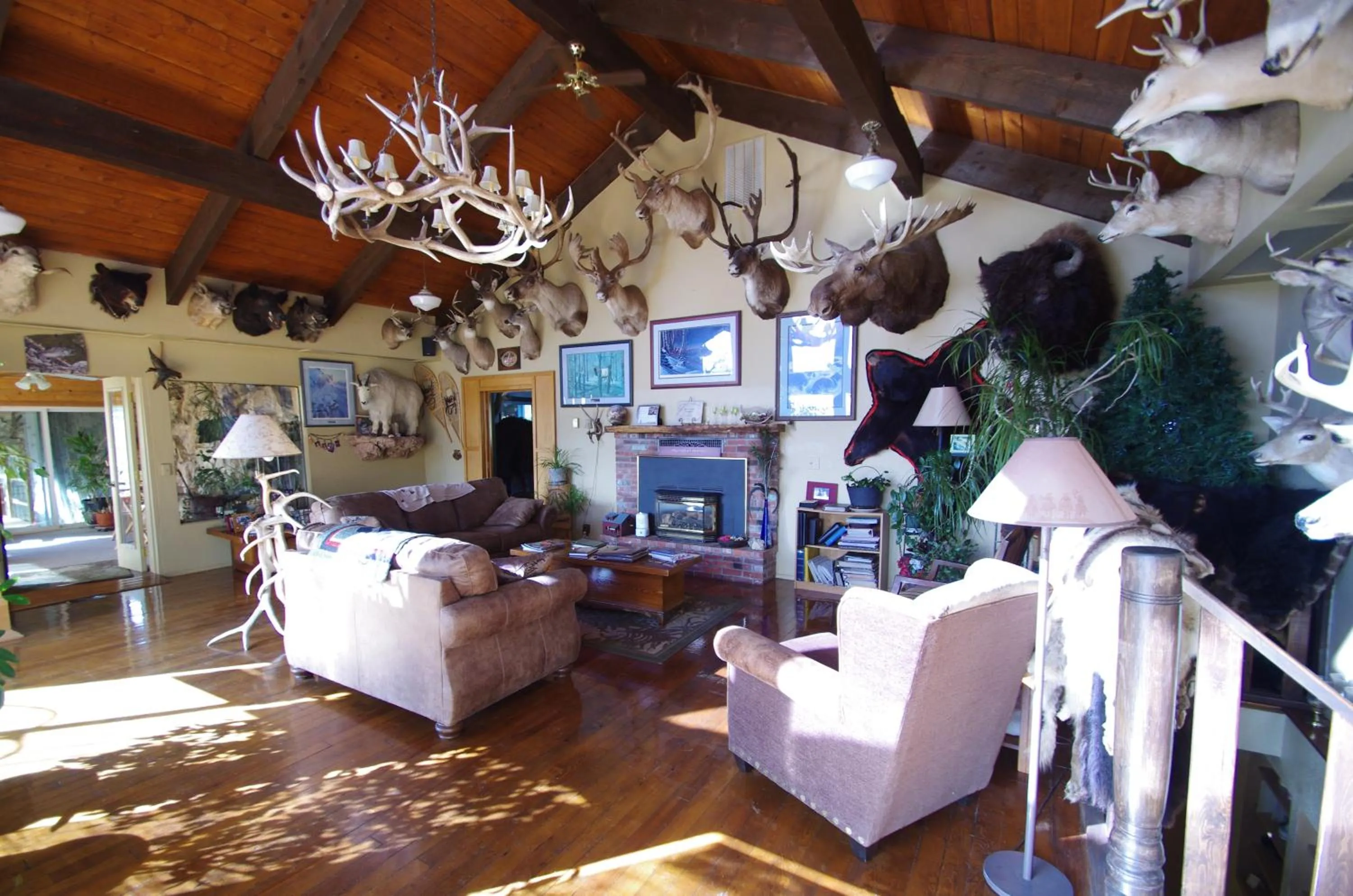 TV and multimedia in Whitebird Summit Lodge