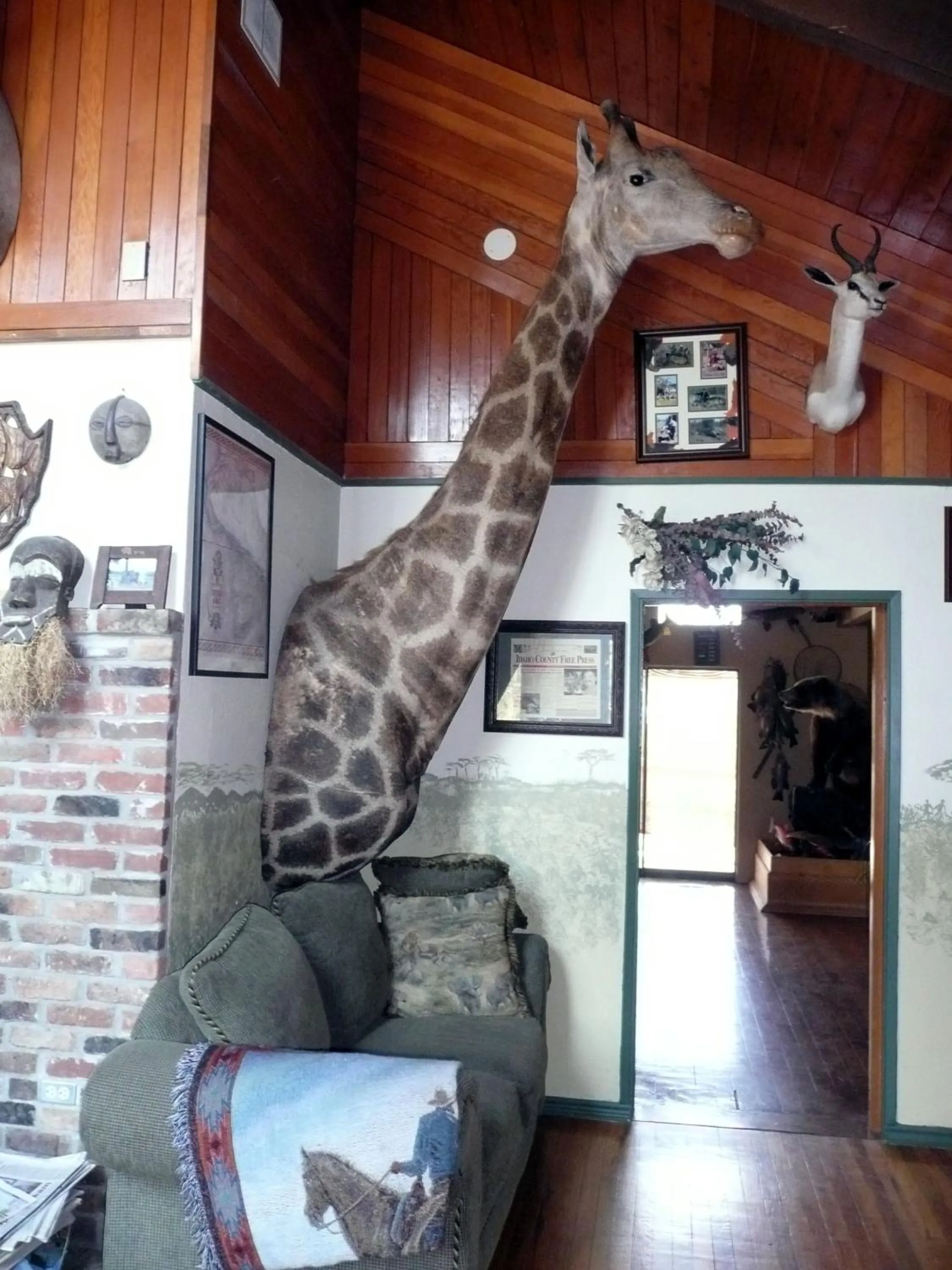 Communal lounge/ TV room in Whitebird Summit Lodge