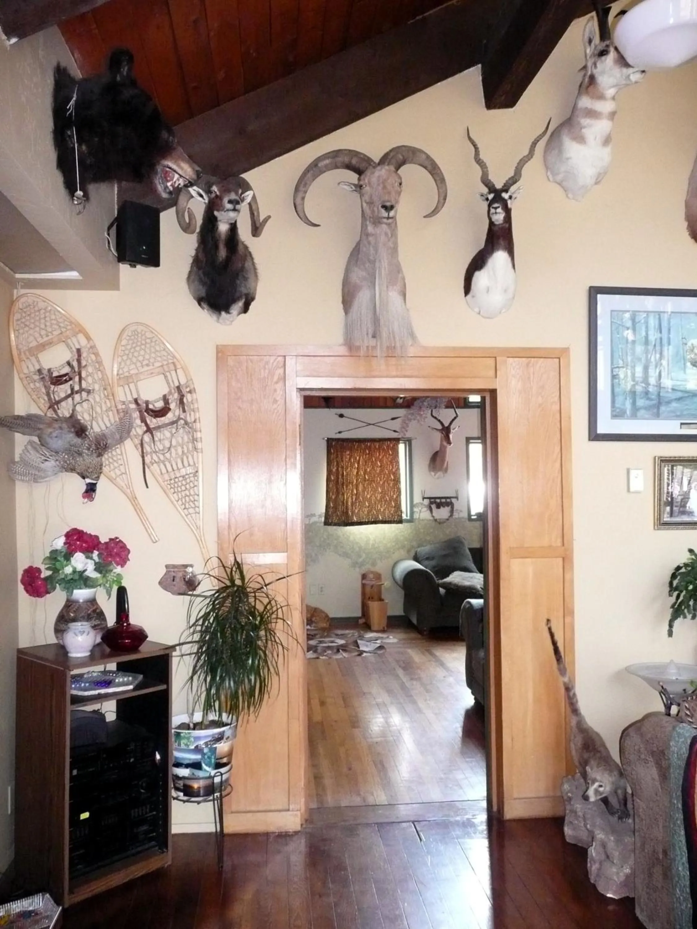 Seating area in Whitebird Summit Lodge