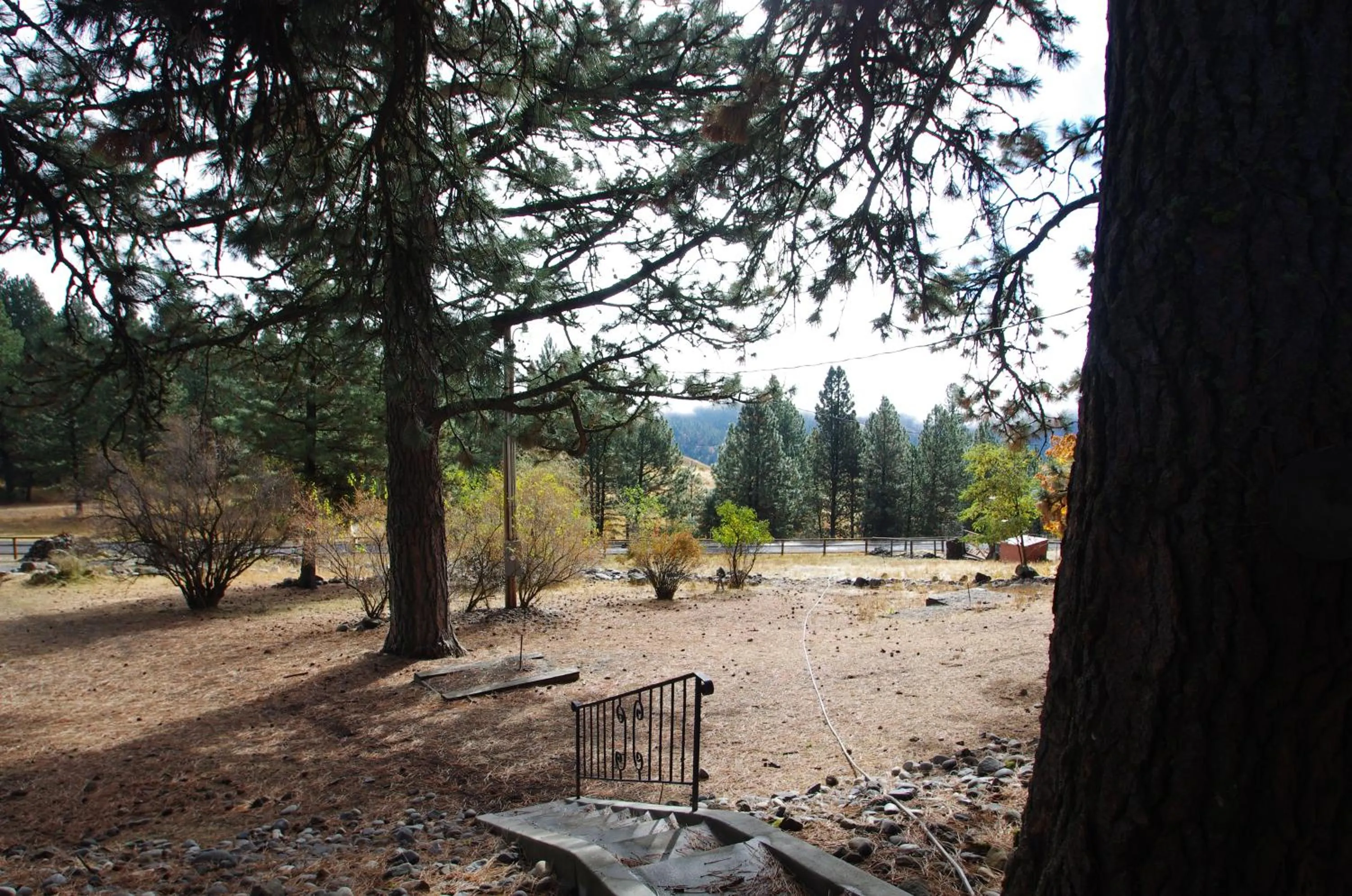 Mountain view in Whitebird Summit Lodge