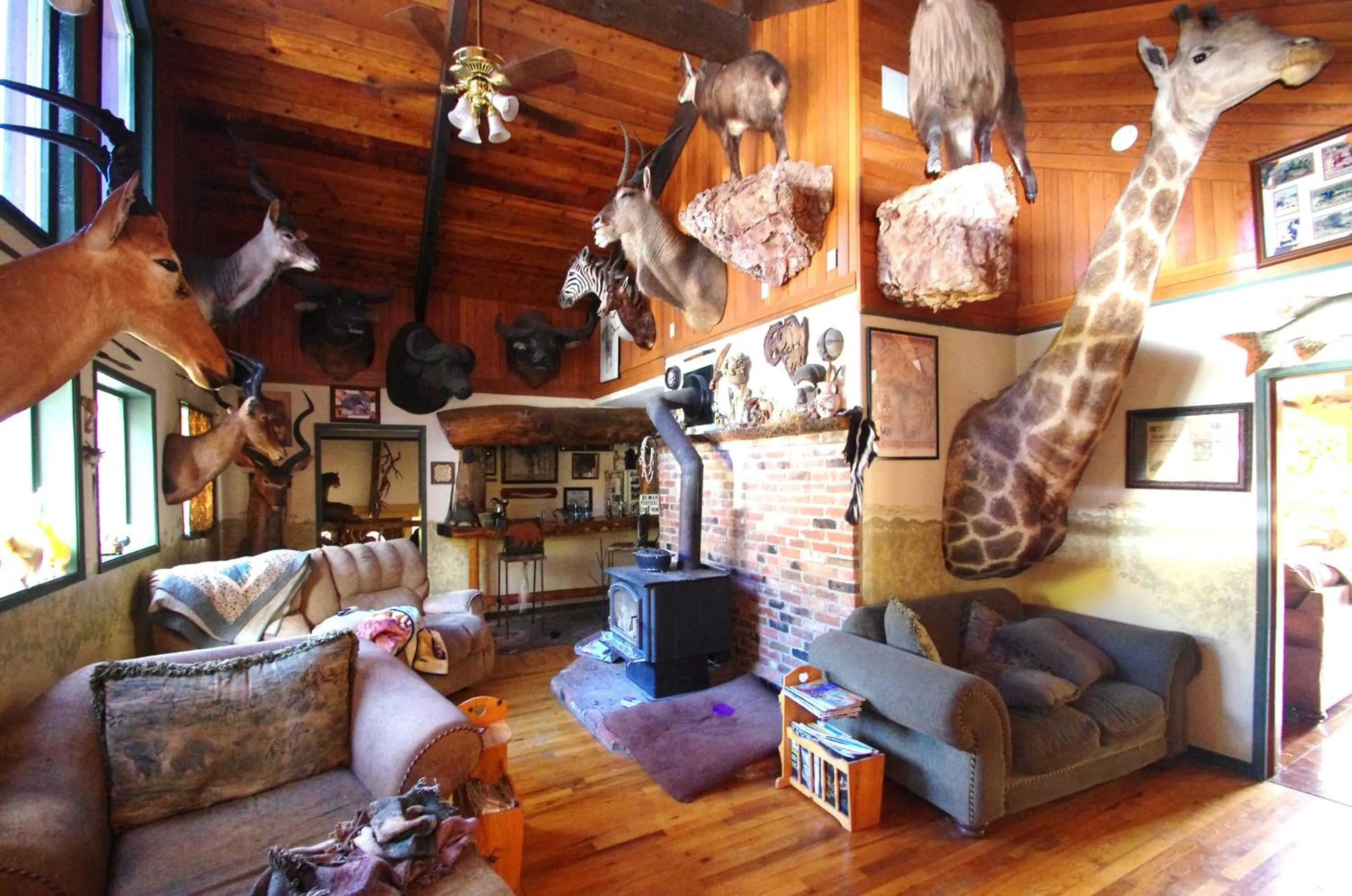 Property building in Whitebird Summit Lodge