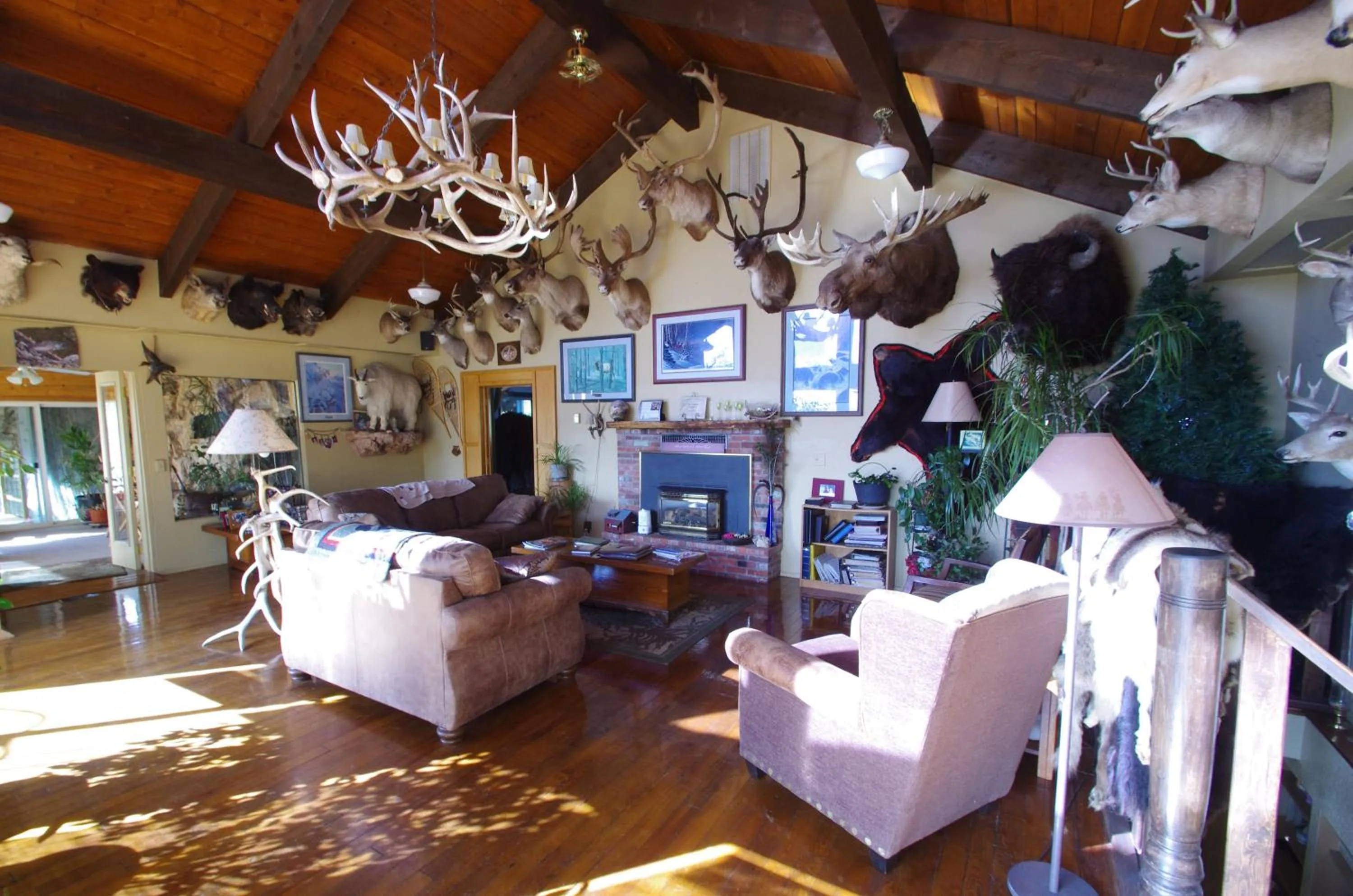 Communal lounge/ TV room in Whitebird Summit Lodge