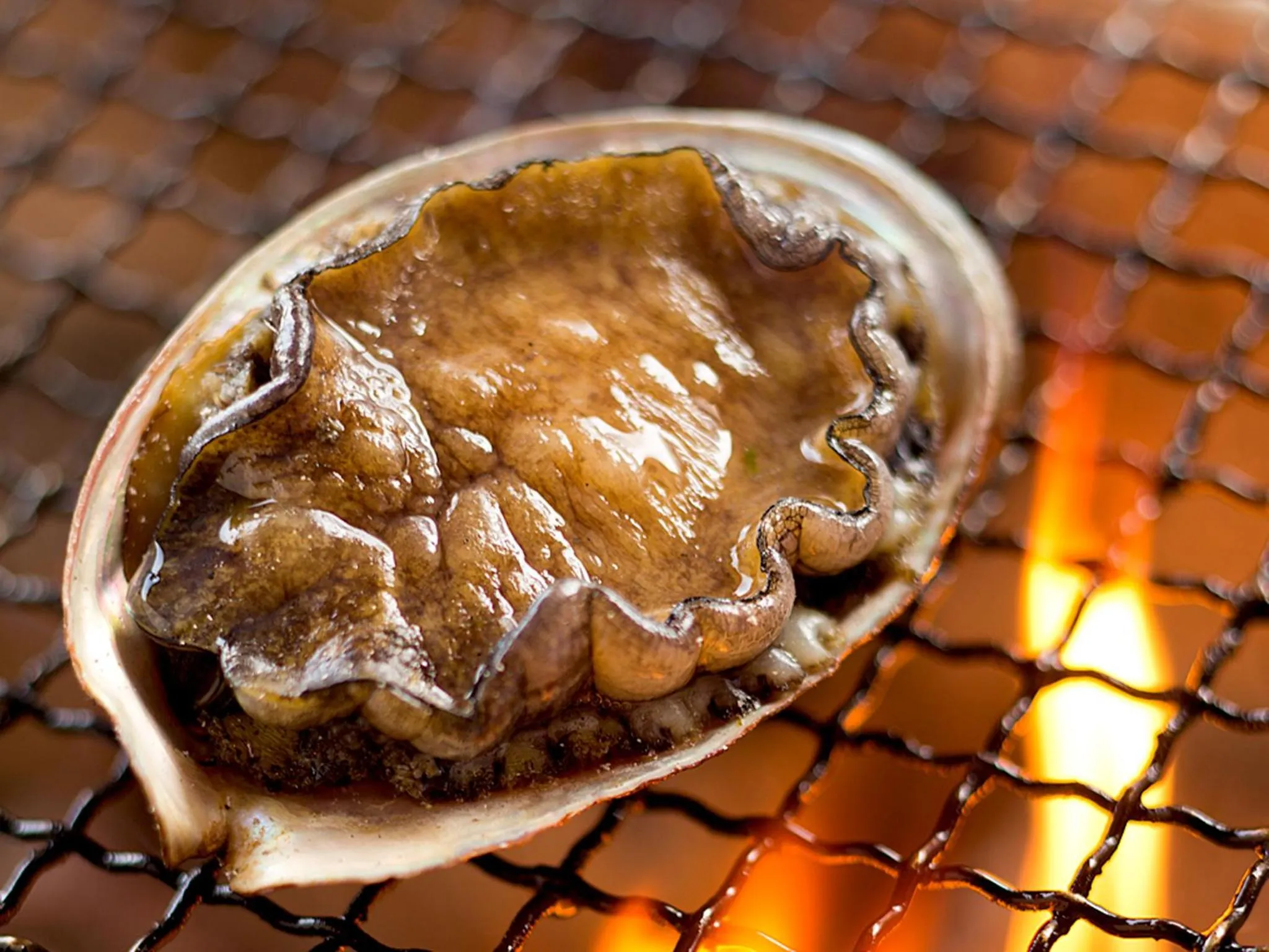 Food close-up in Yukimurasaki