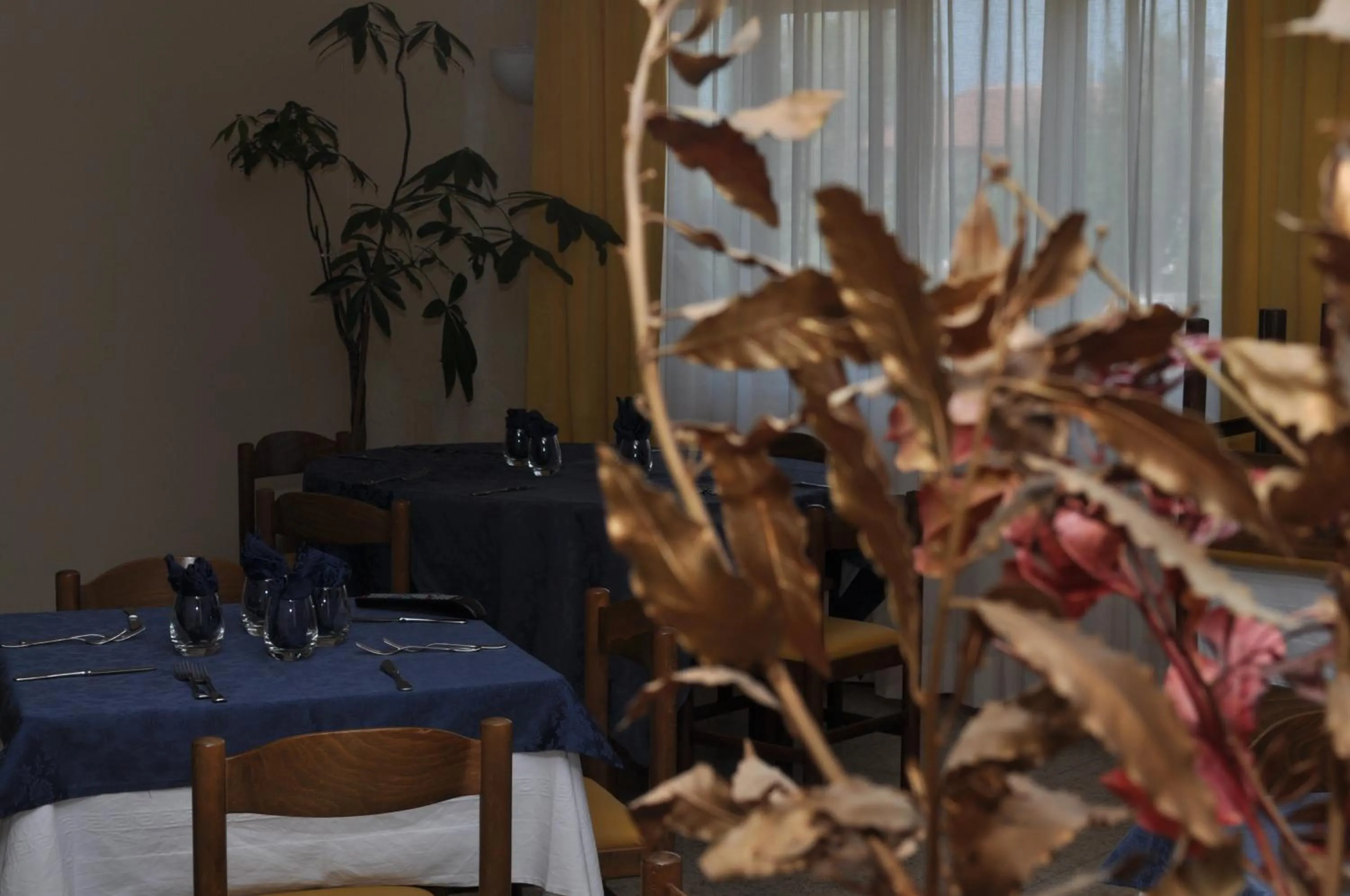 Restaurant/places to eat in Hotel Onda Bleu