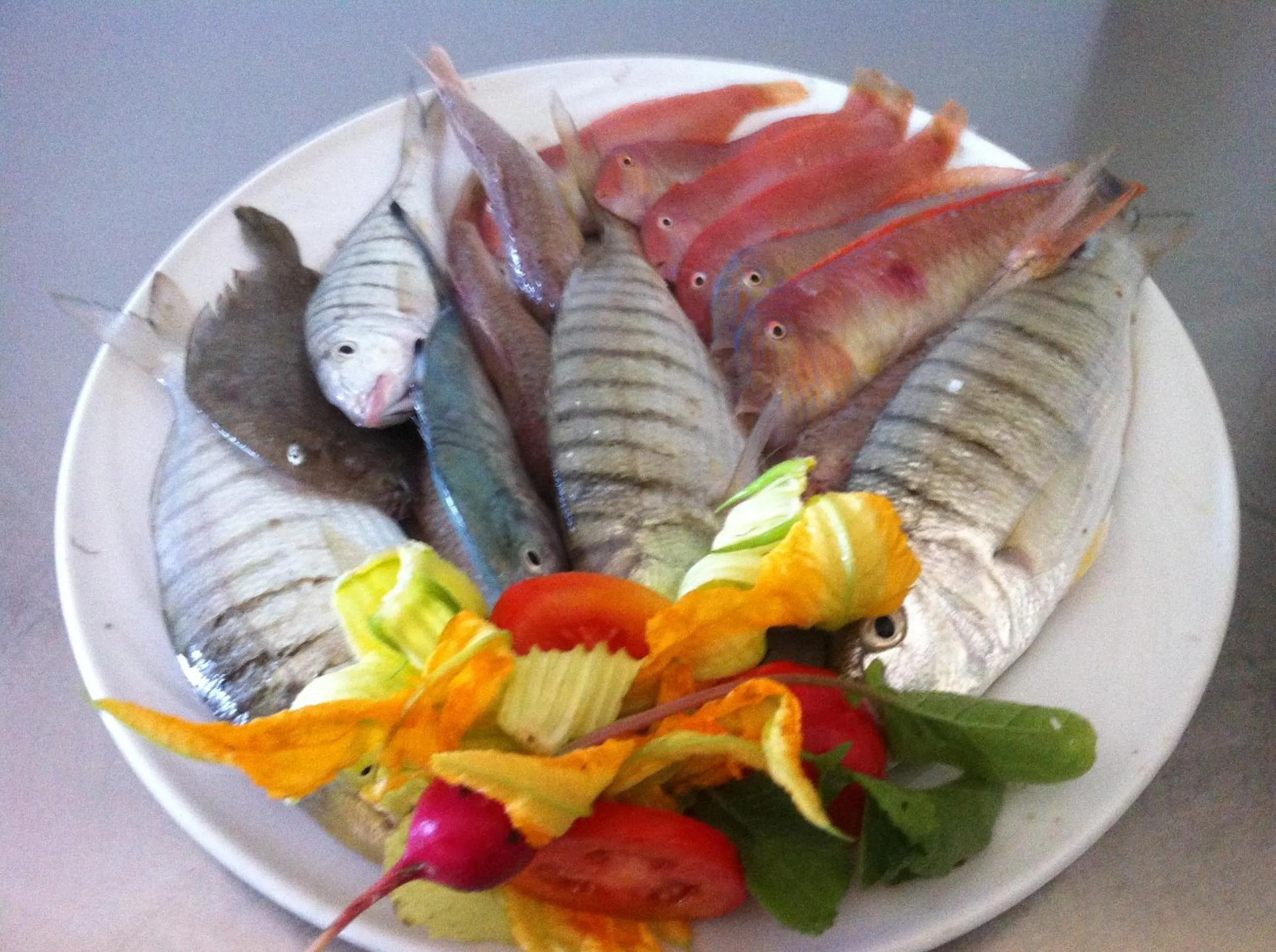 Fishing in Hotel Onda Bleu