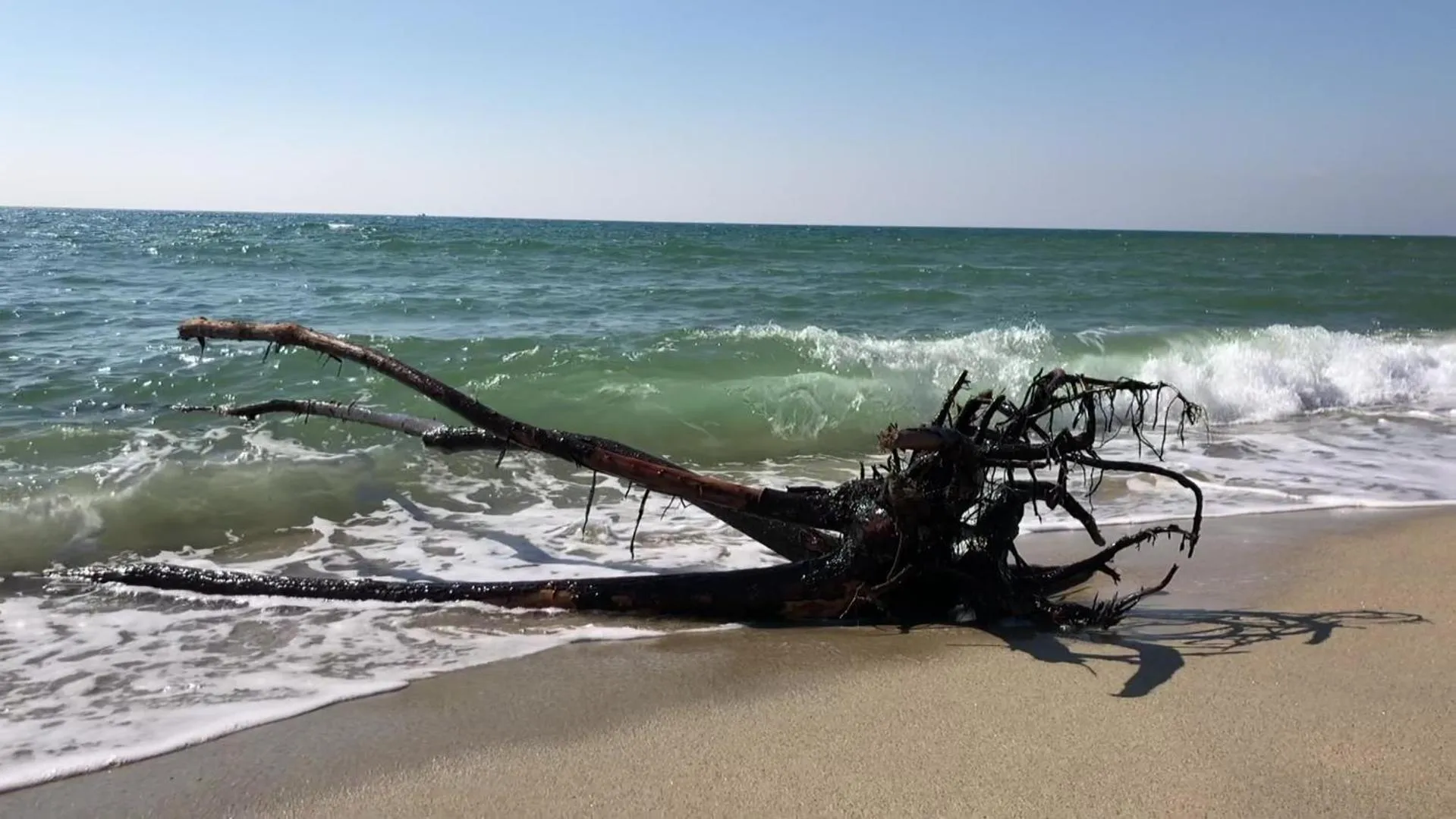 Natural landscape in Hotel Onda Bleu