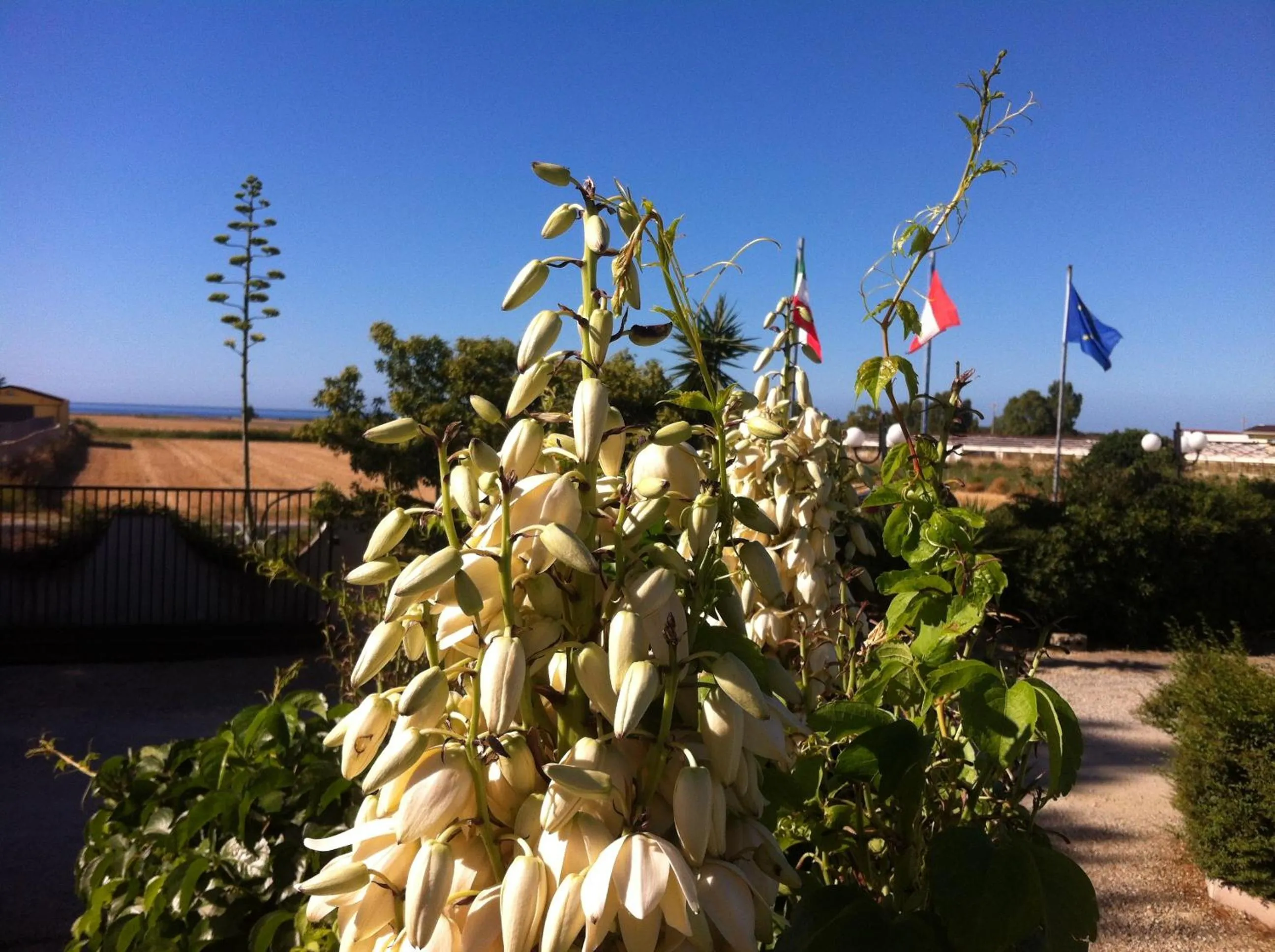 View (from property/room) in Hotel Onda Bleu