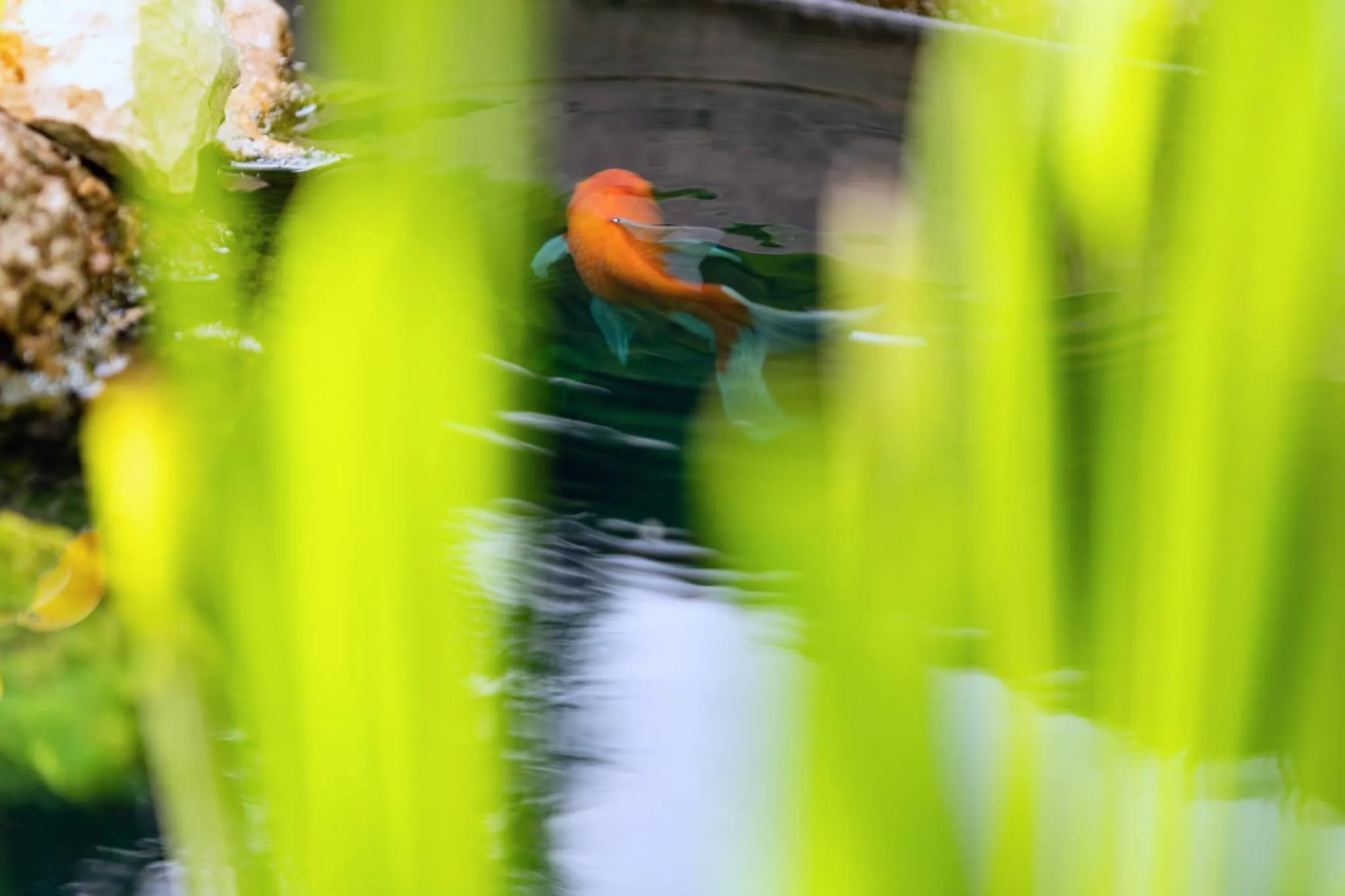 Fishing in Hotel de La Plage