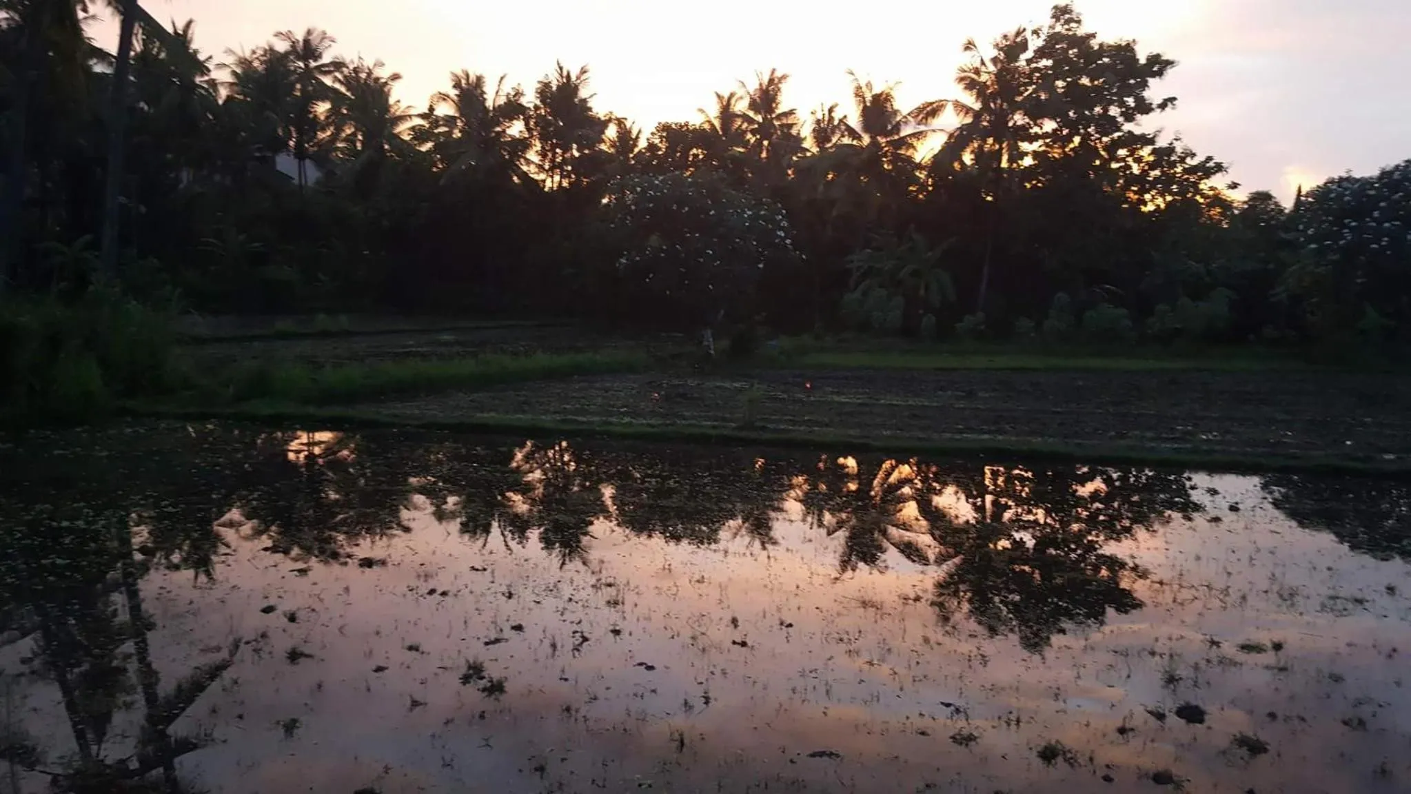 Property building in Murnis Bungalow