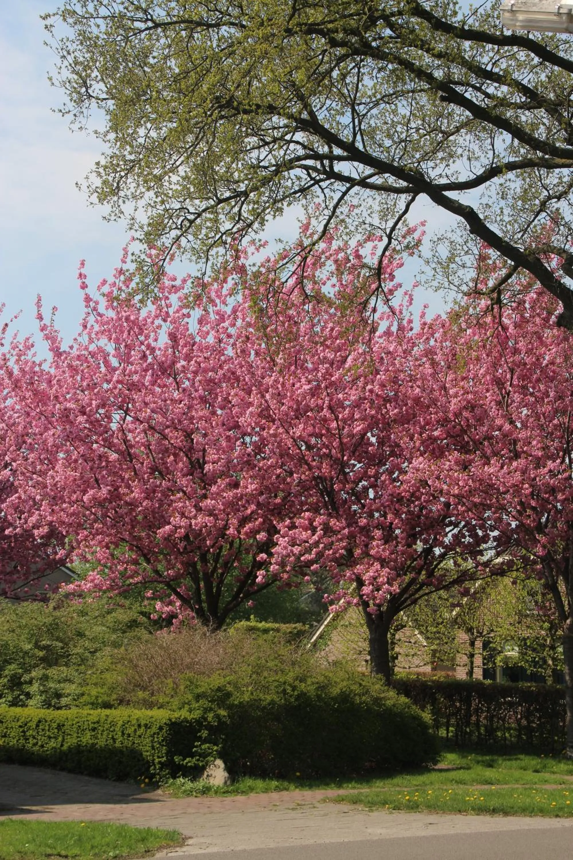Other in B&B De Meidoornhof