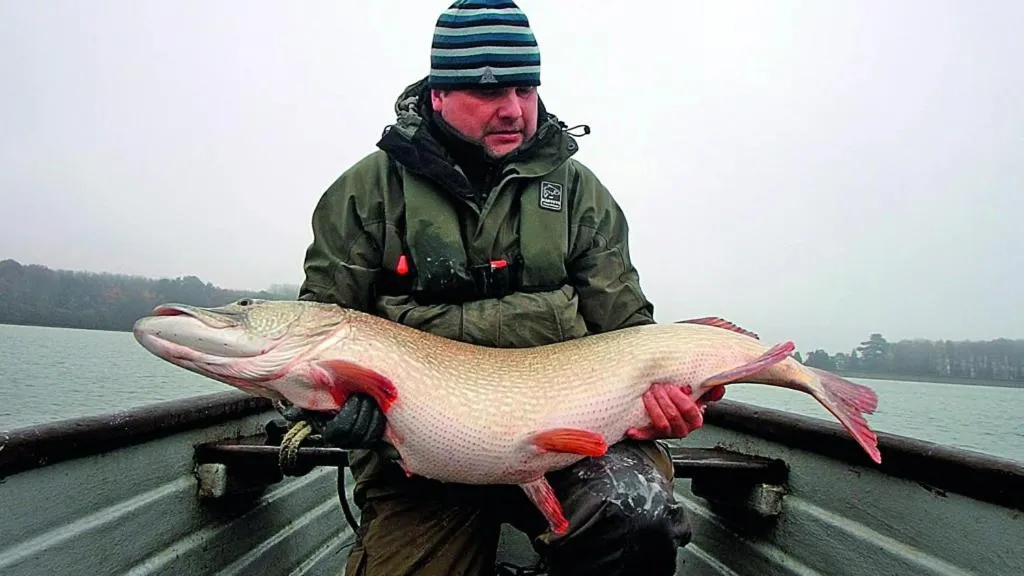 Activities in The Pytchley Inn