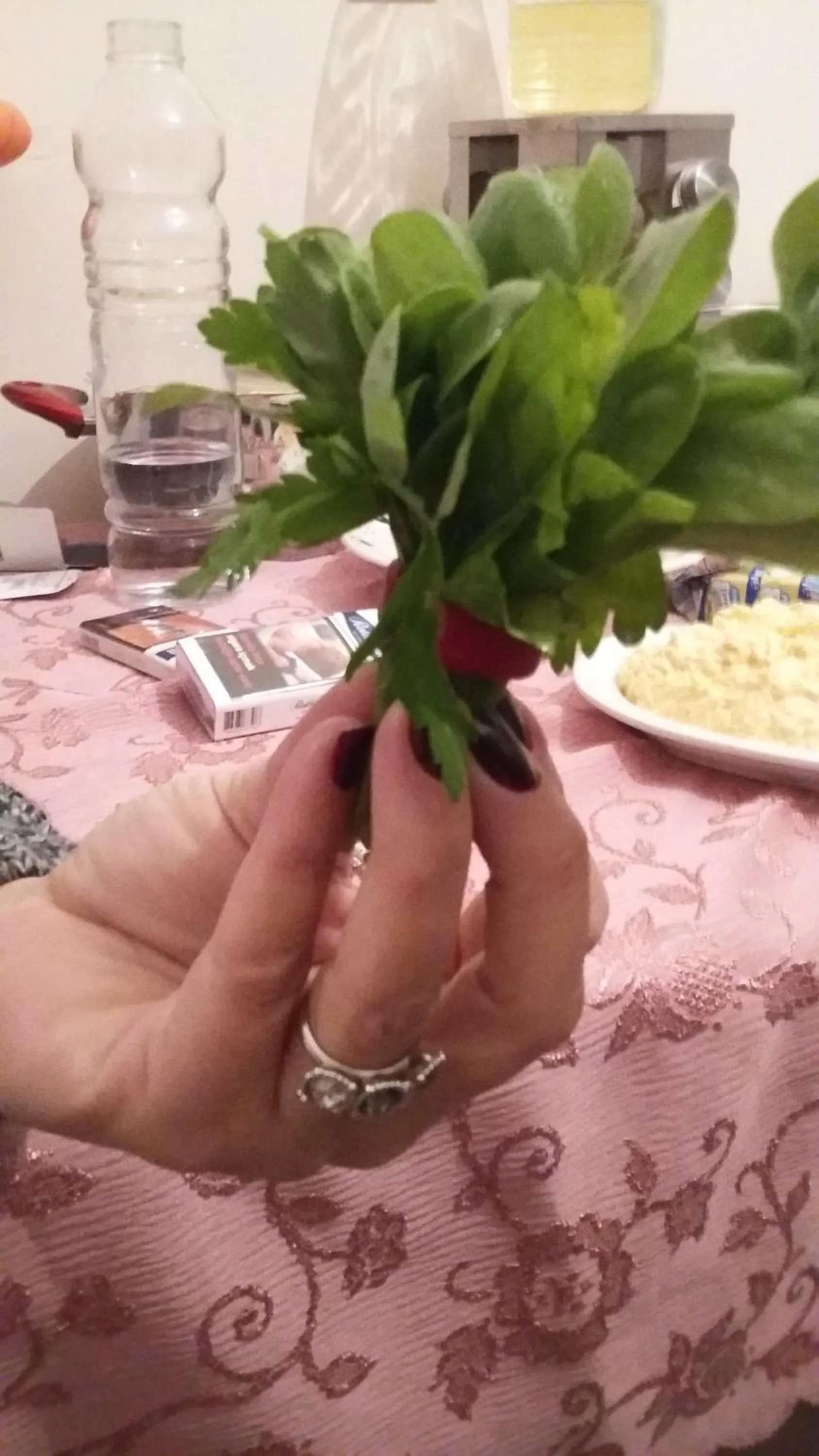 Food and drinks in Nimet Hanım Konağı