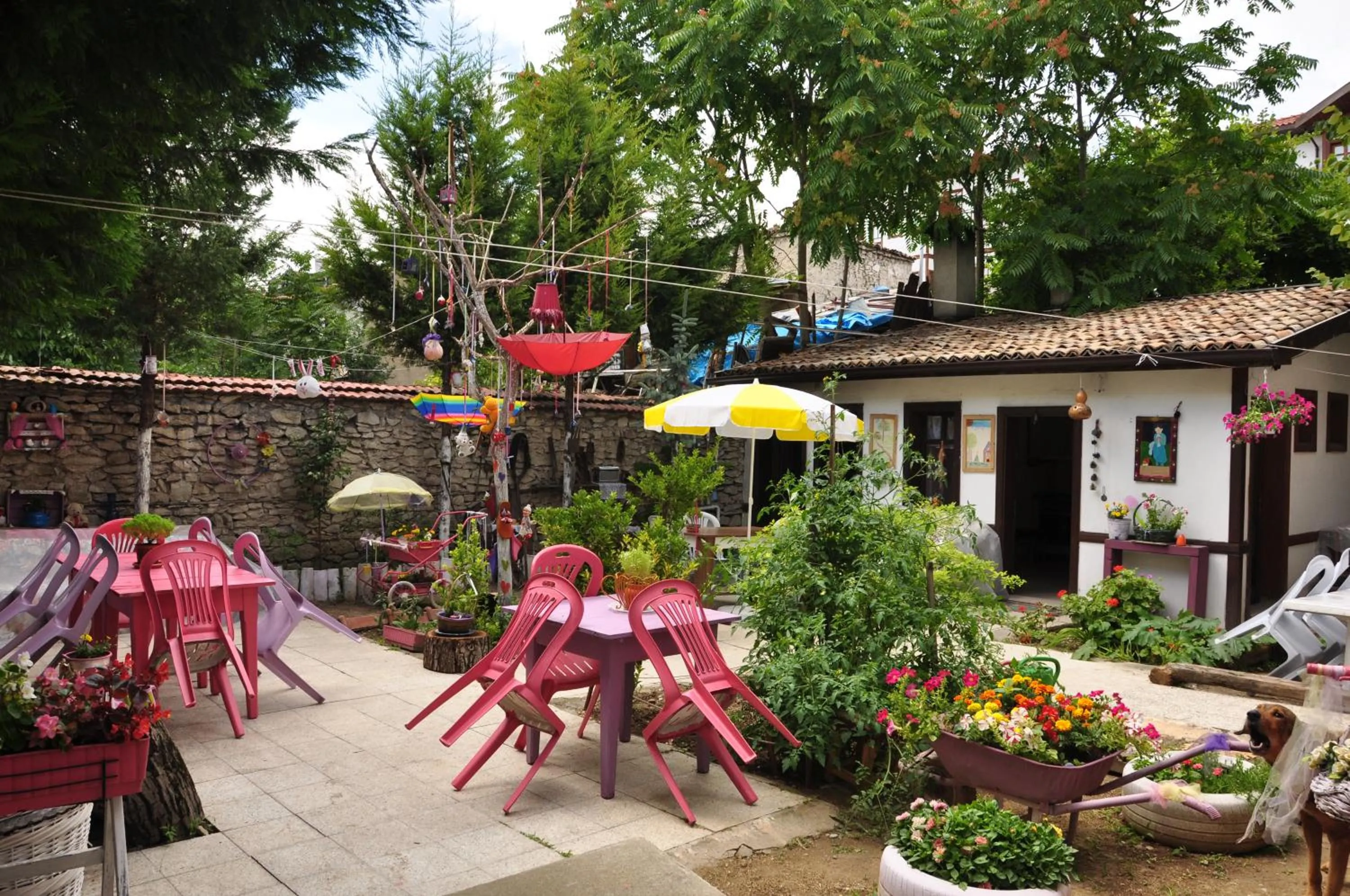 Garden view in Nimet Hanım Konağı