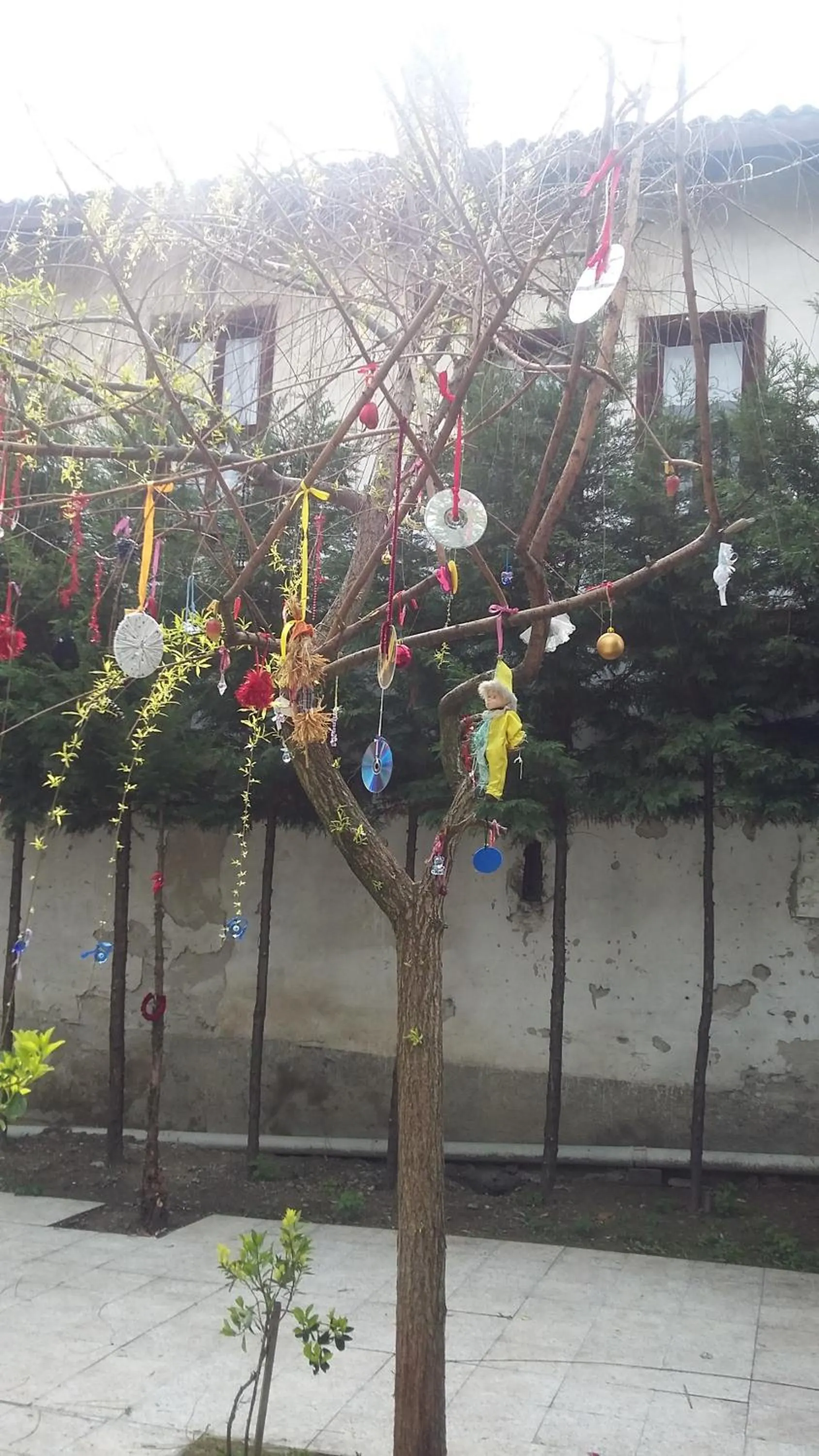 Garden in Nimet Hanım Konağı