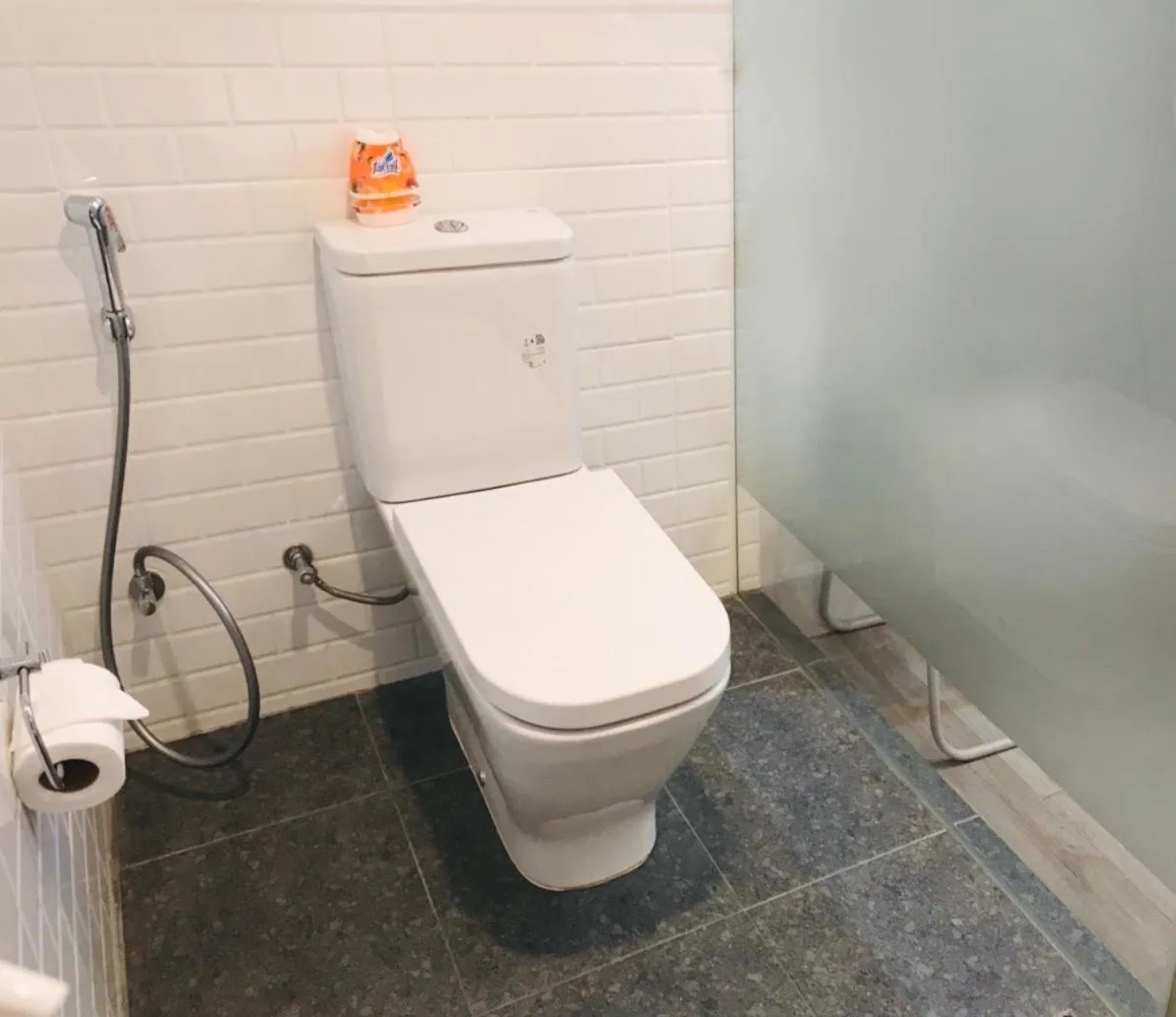 Toilet in Bedspread Hostel