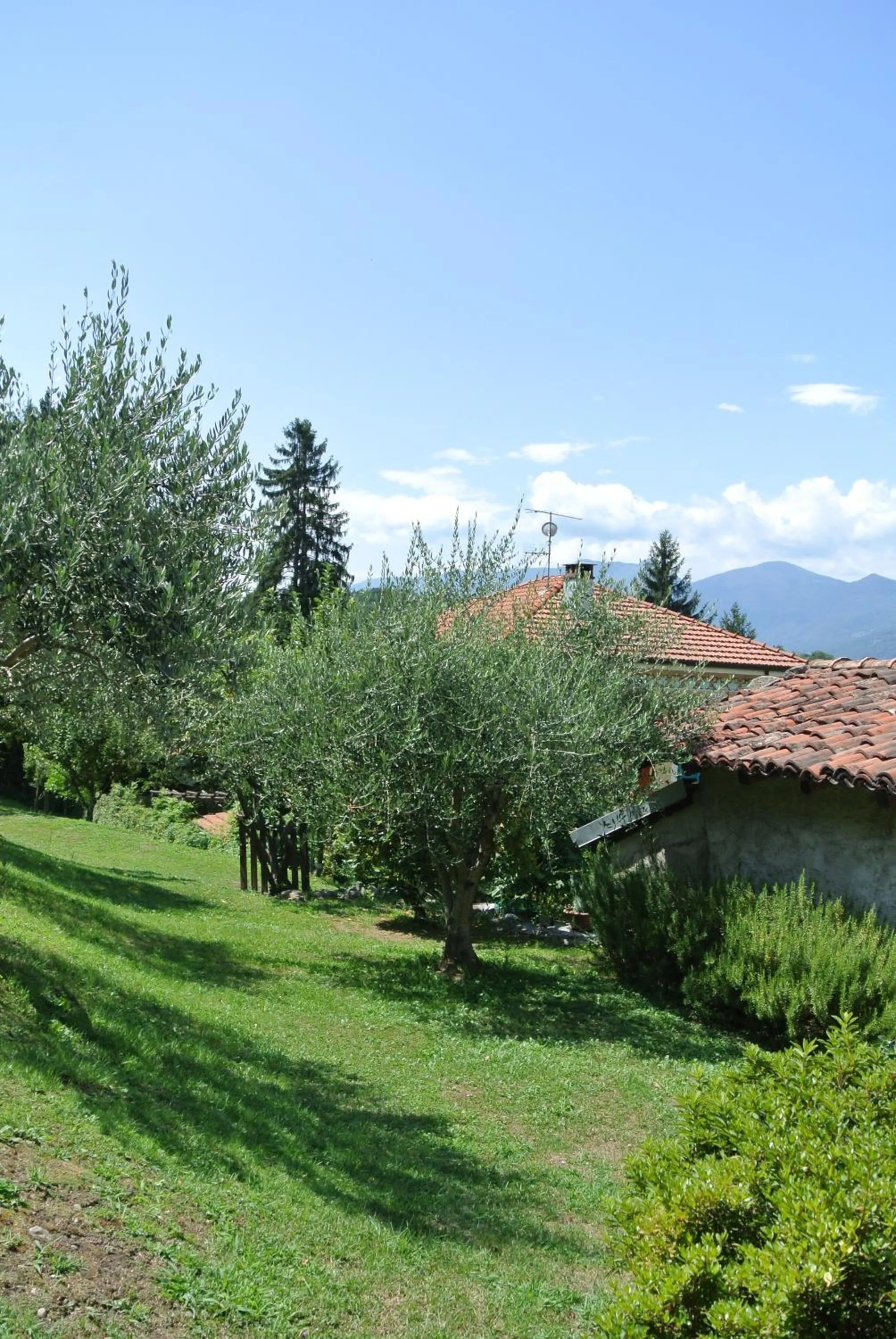 Garden in Al Rost B&B