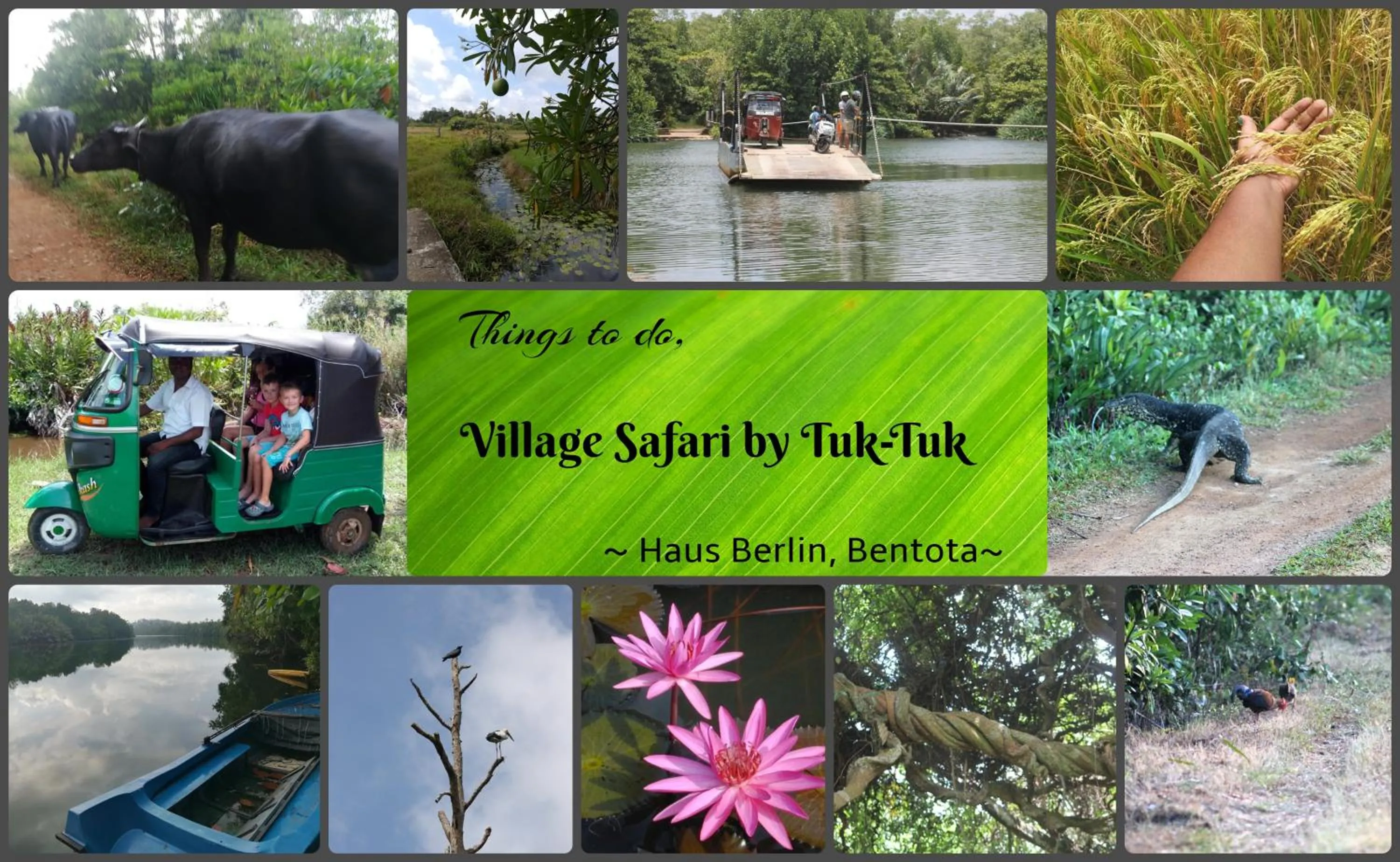 Staff in Haus Berlin