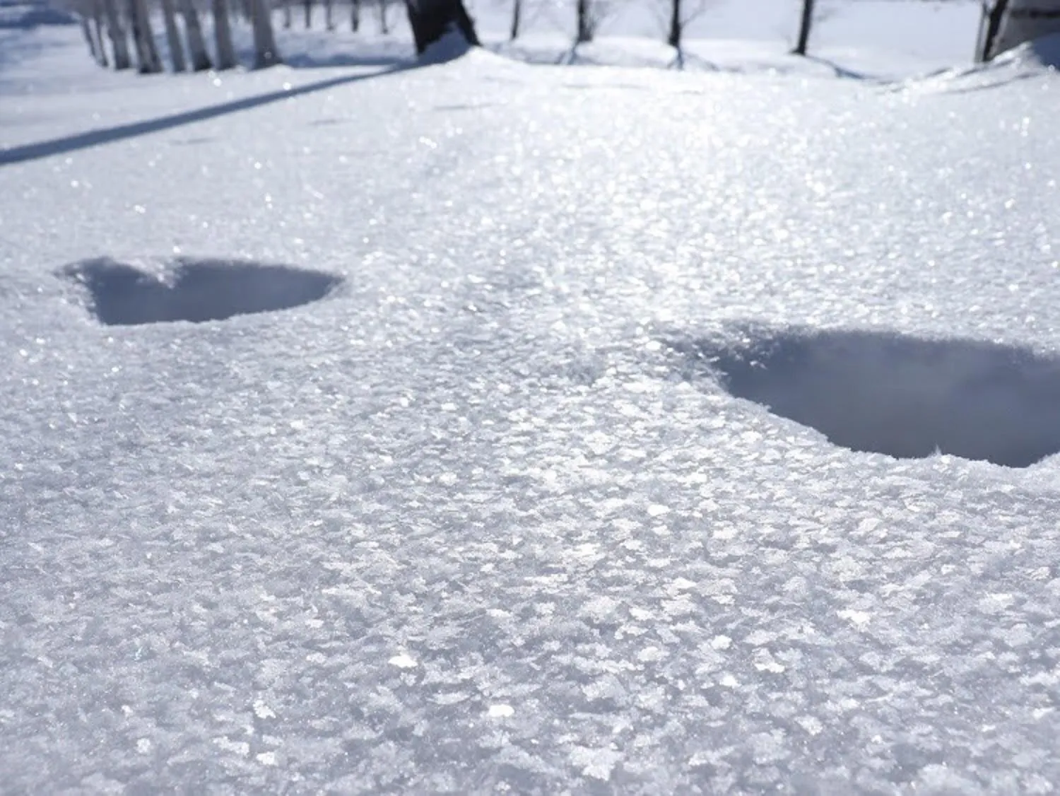 Day in Furano Natulux Hotel