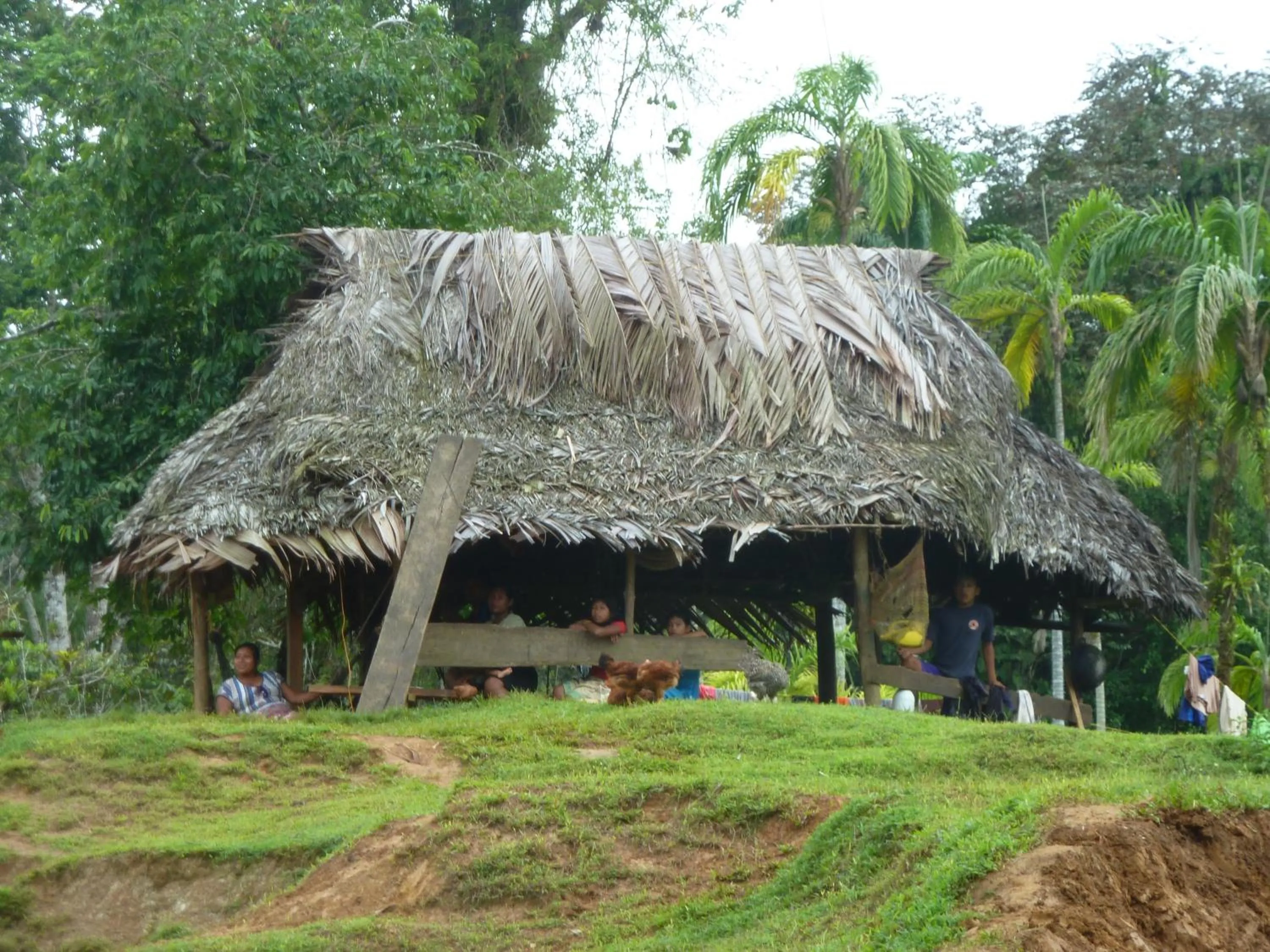 Activities in Villa F&B