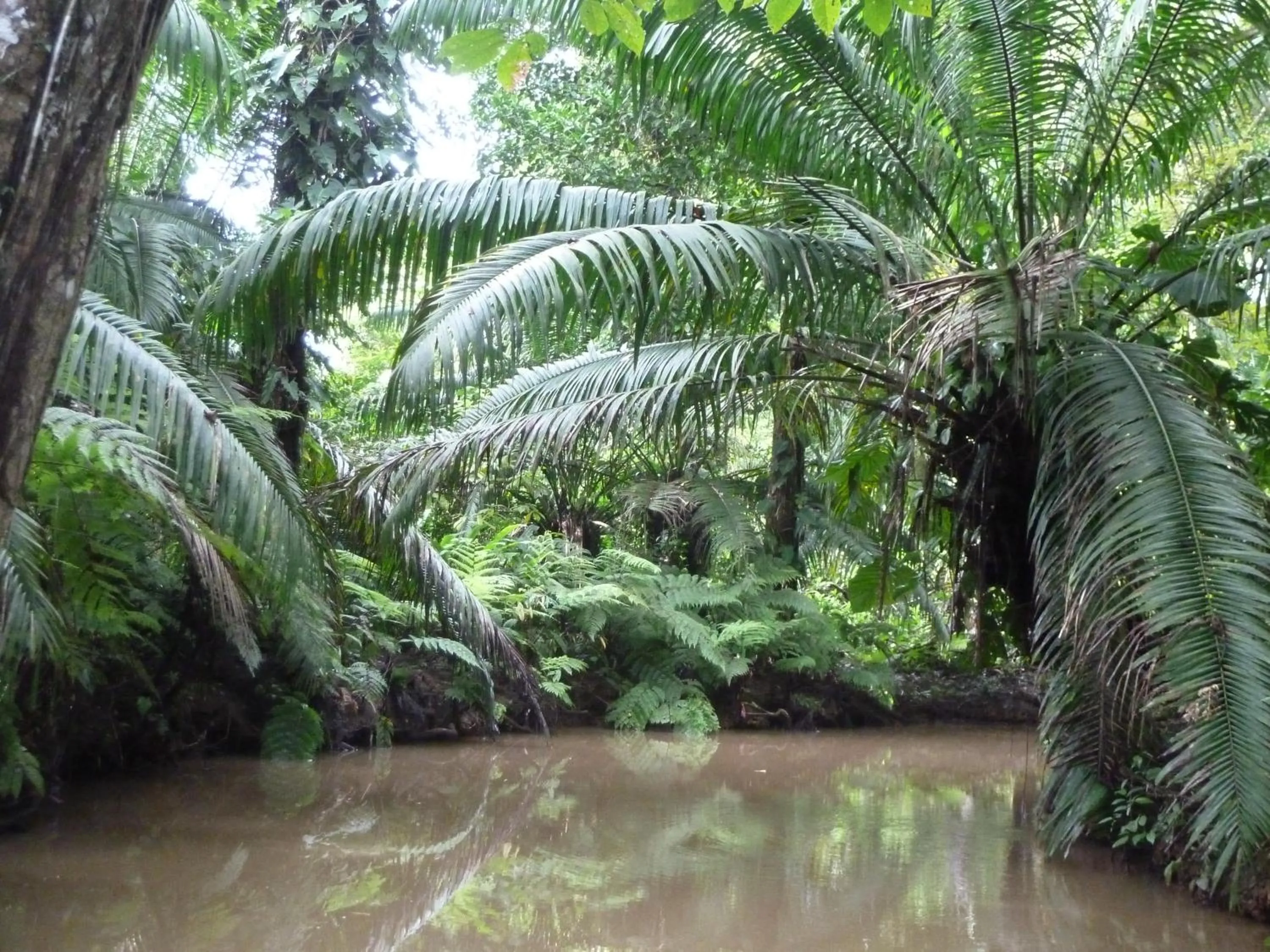 Activities in Villa F&B