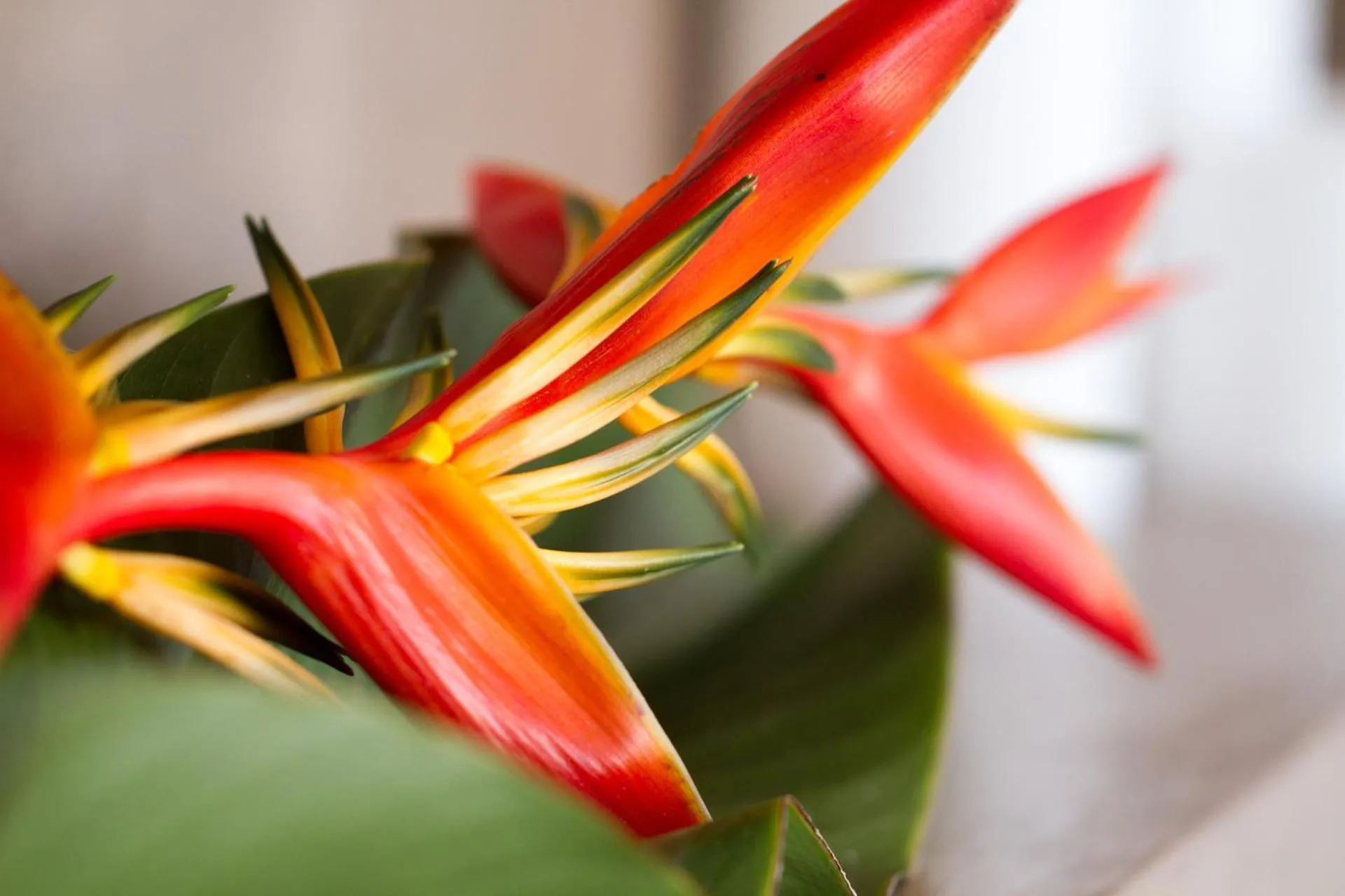 Decorative detail in Villa F&B