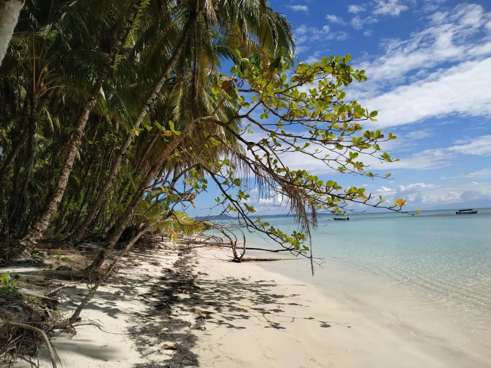 Natural landscape in Villa F&B