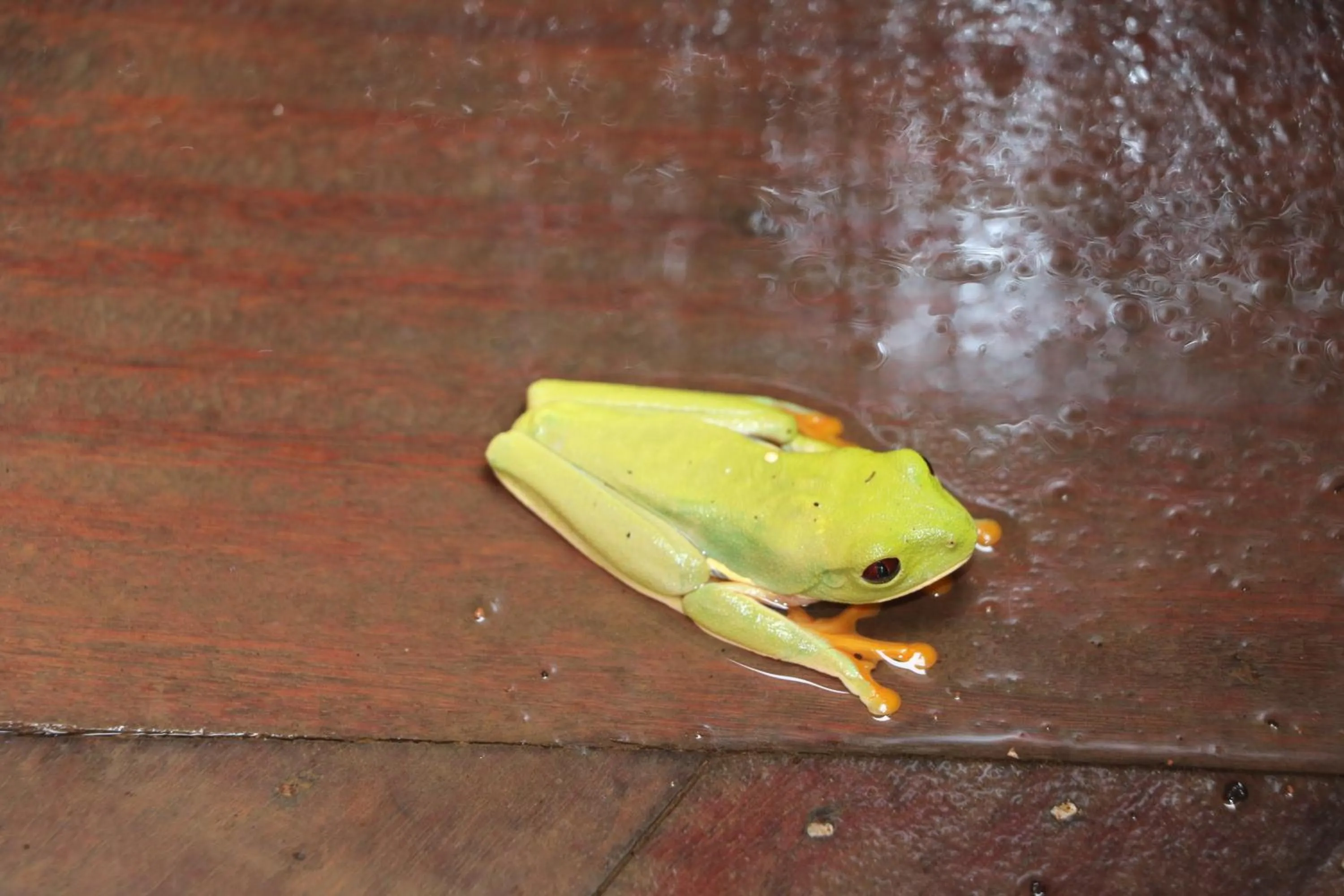 Off site in Villa F&B