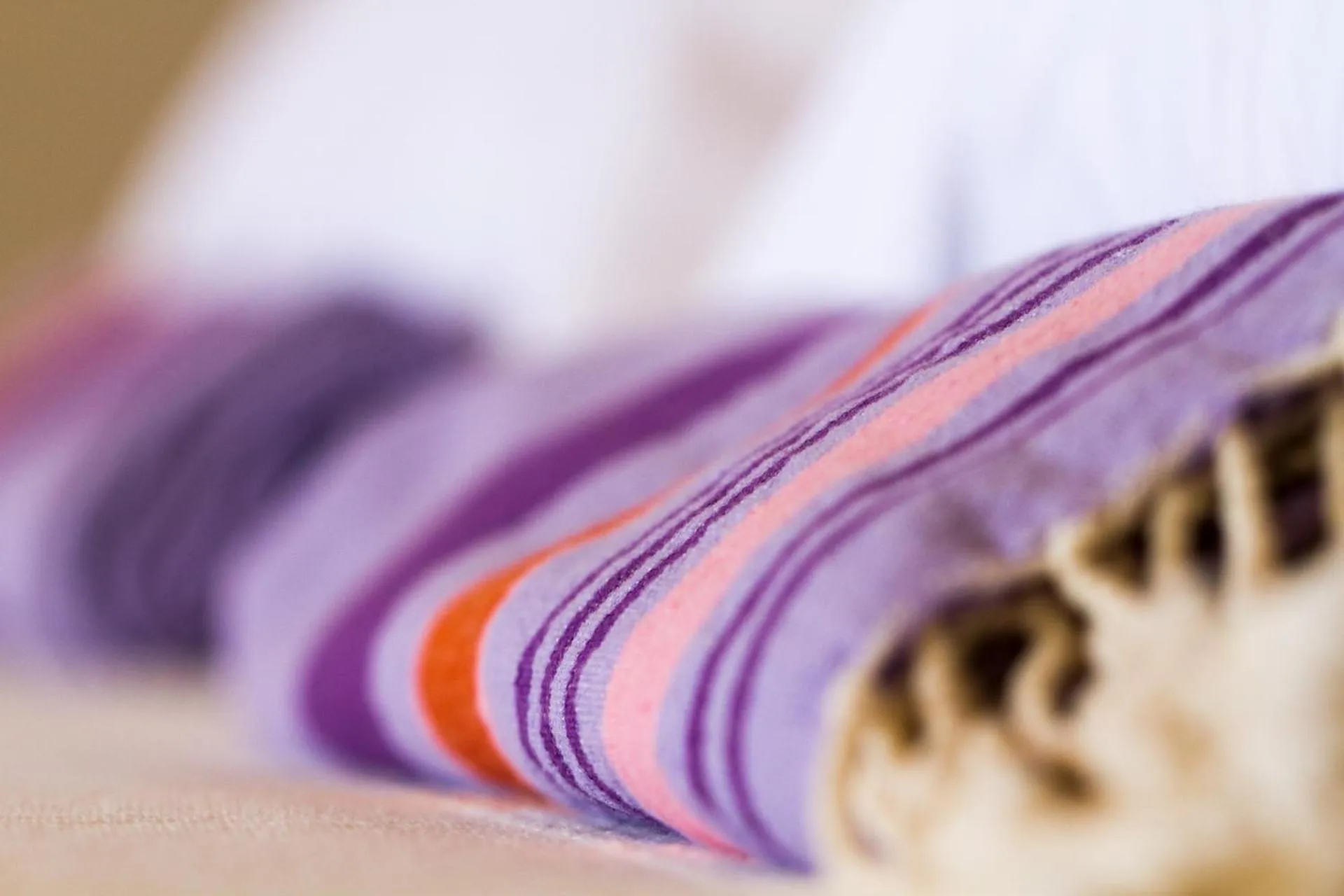 Decorative detail in Villa F&B