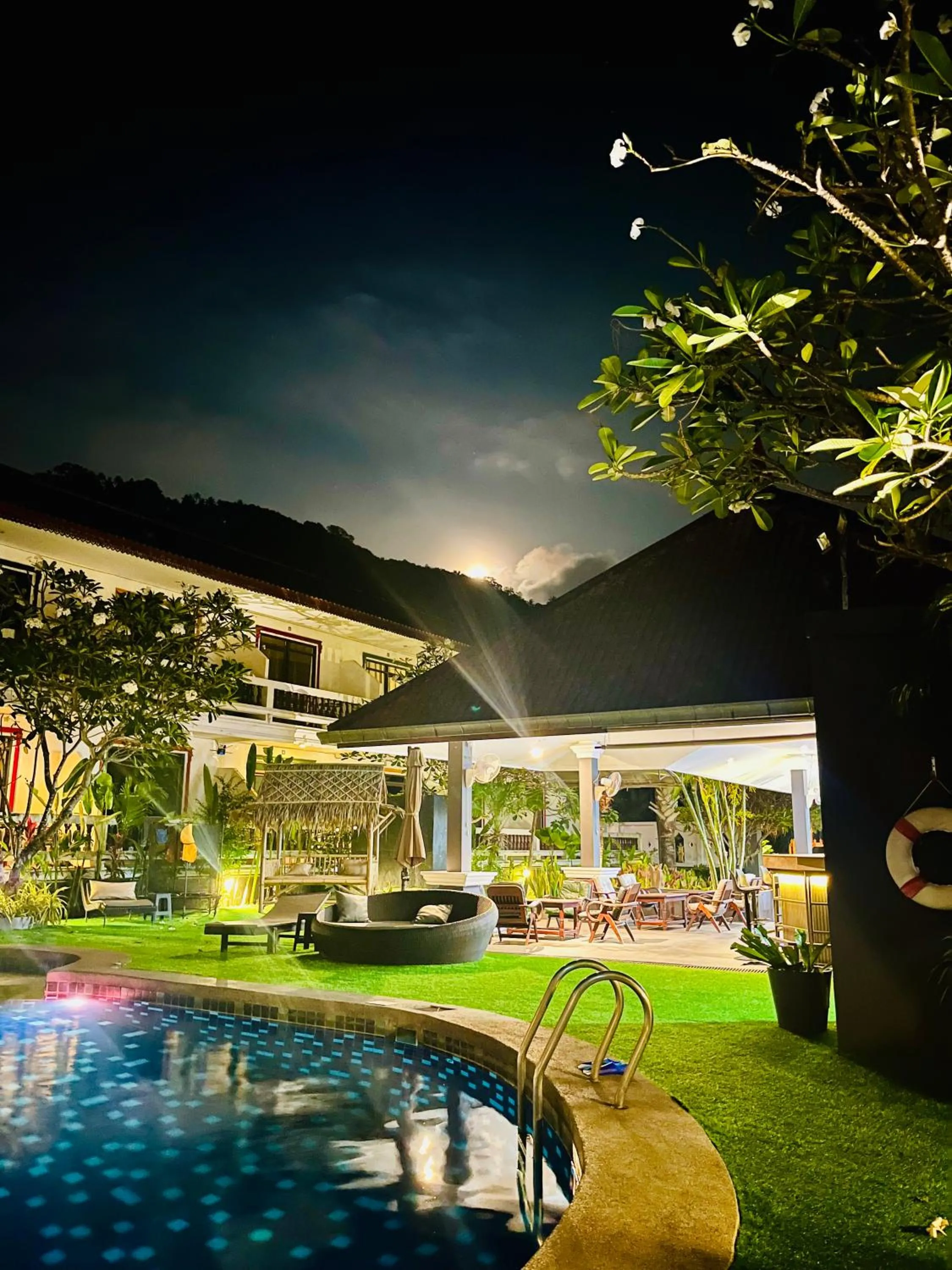 Garden in Tropical Palm