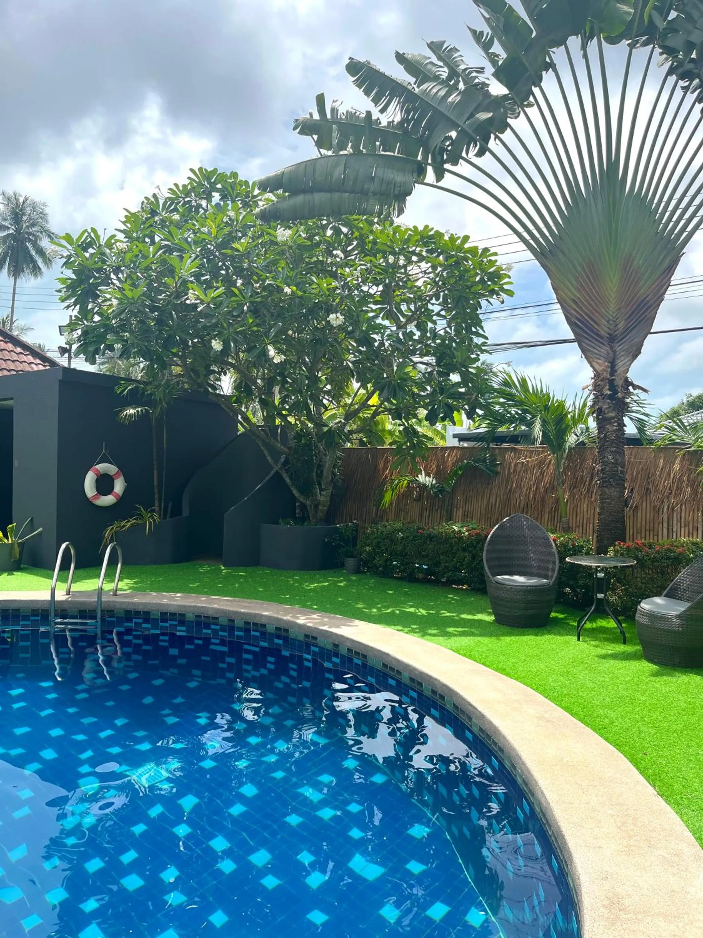 Swimming pool in Tropical Palm