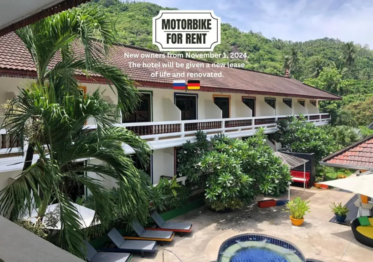 Tropical Palm Tropical Palm