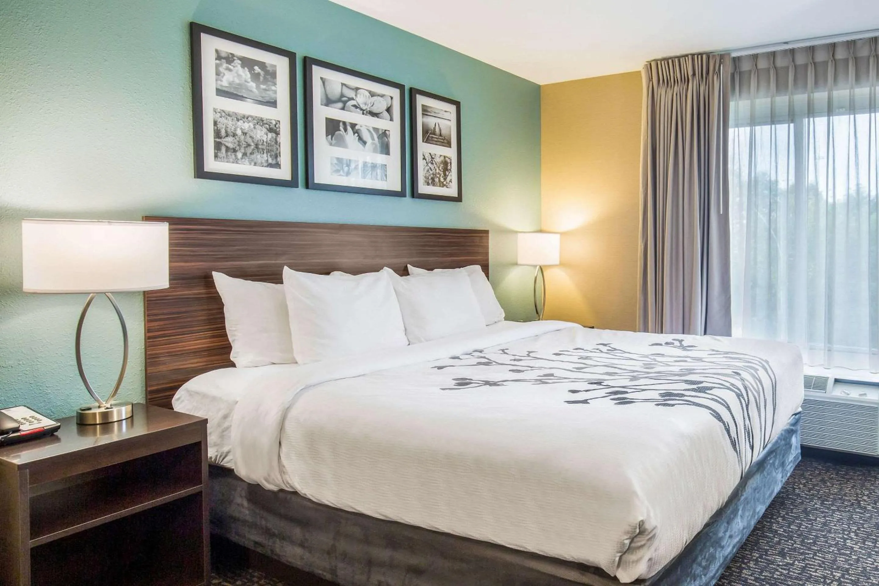 Bedroom, Bed in Sleep Inn & Suites Dunmore