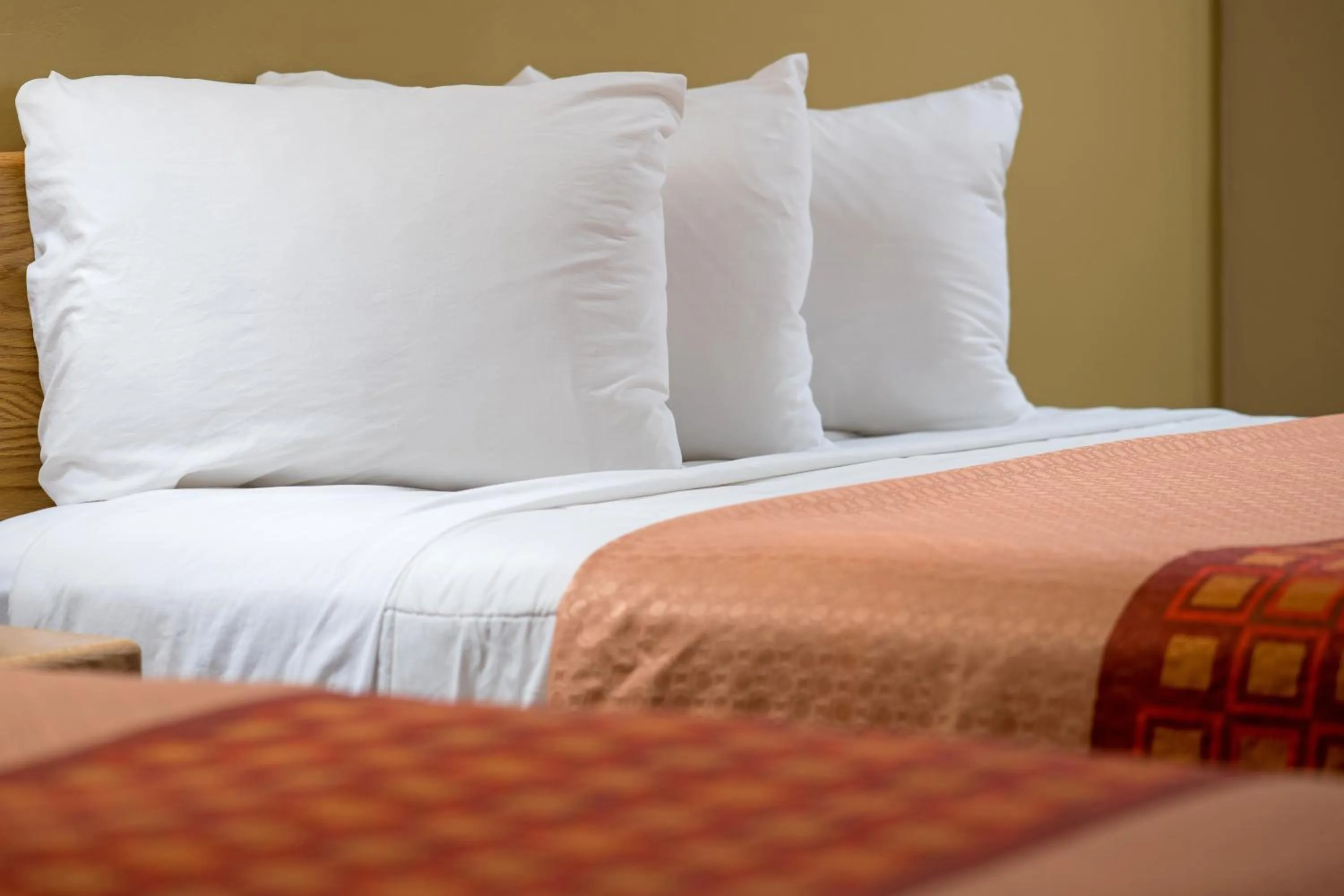 Bed in Glenwood Springs Cedar Lodge