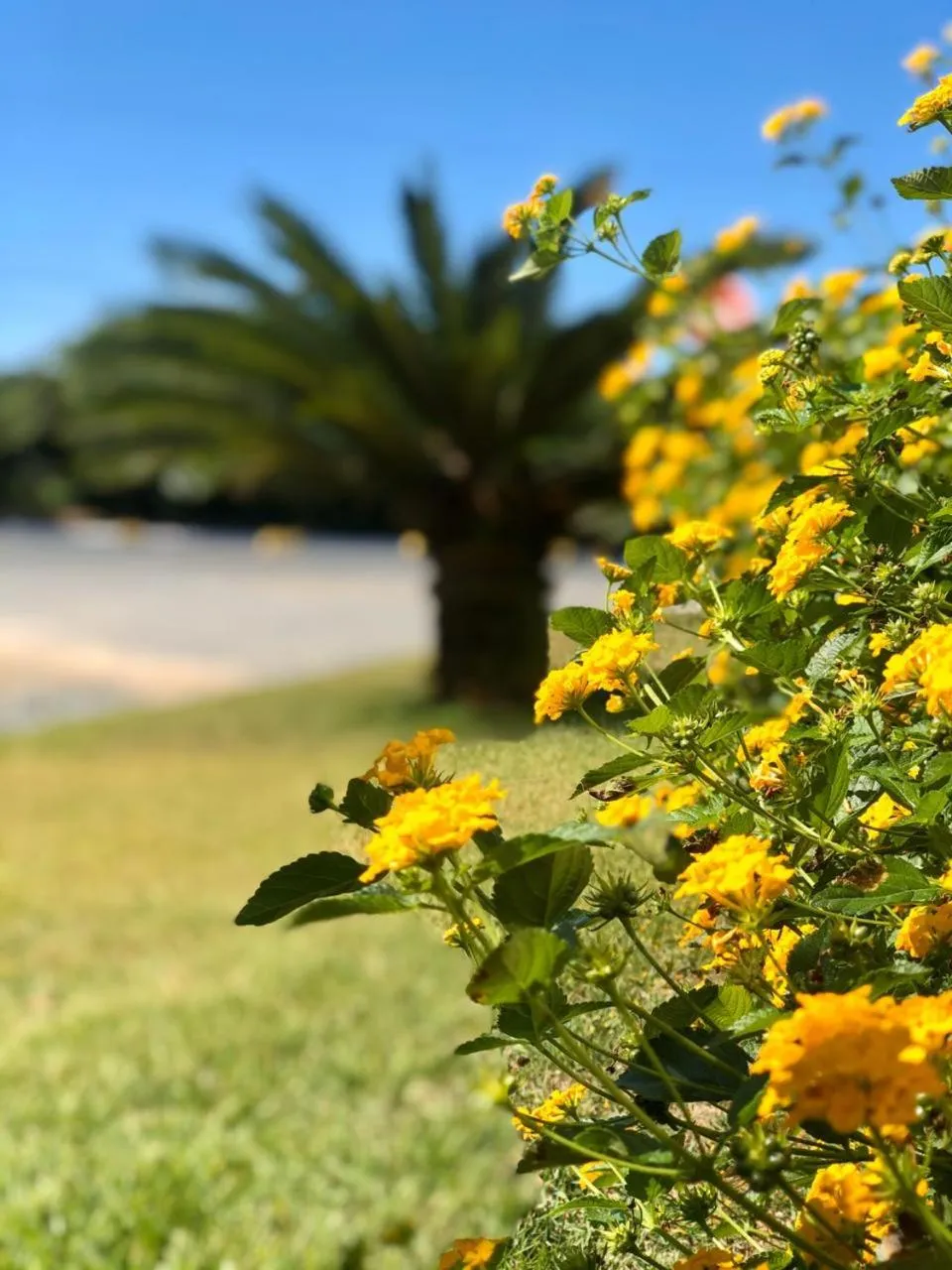 Day in Reserva Praia Hotel