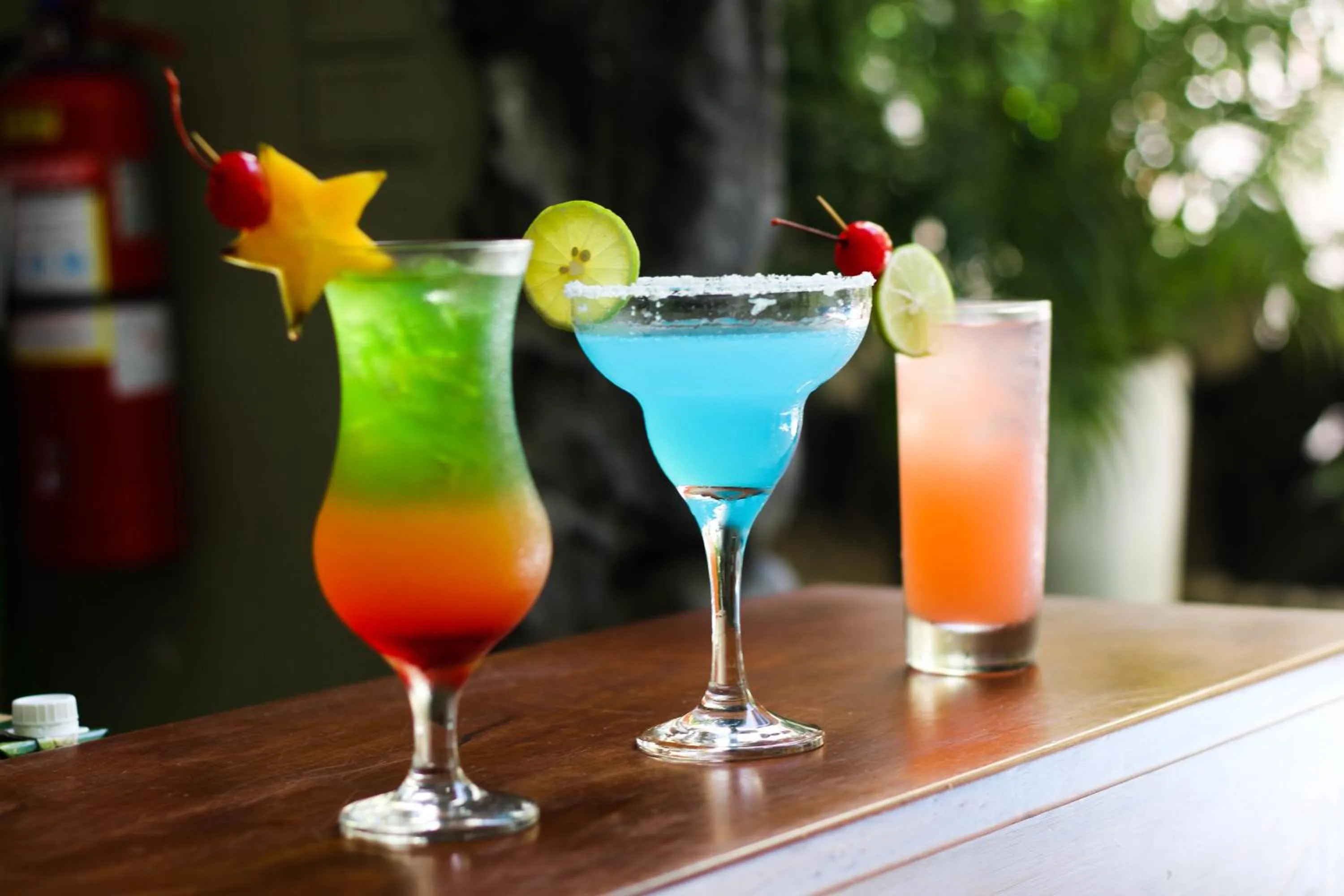 Lounge or bar in El Dorado Classic Hotel