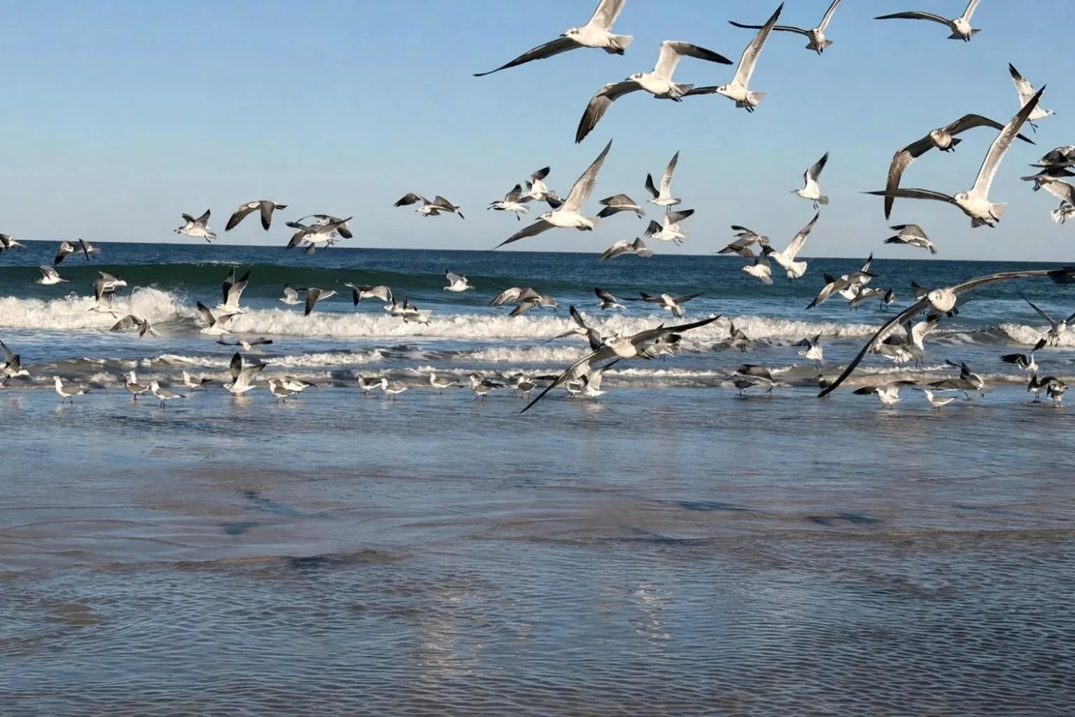 Natural landscape in La Bella Inn - POOL OPEN