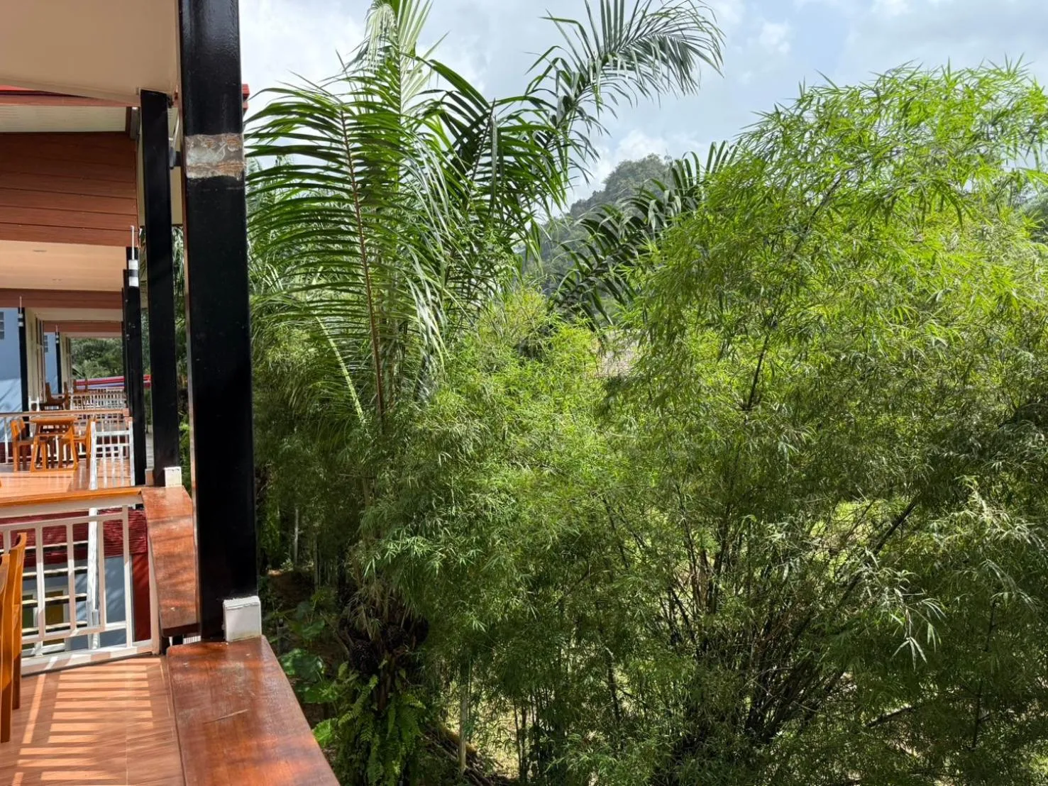 Natural landscape in Khaosok Bamboo Huts Resort