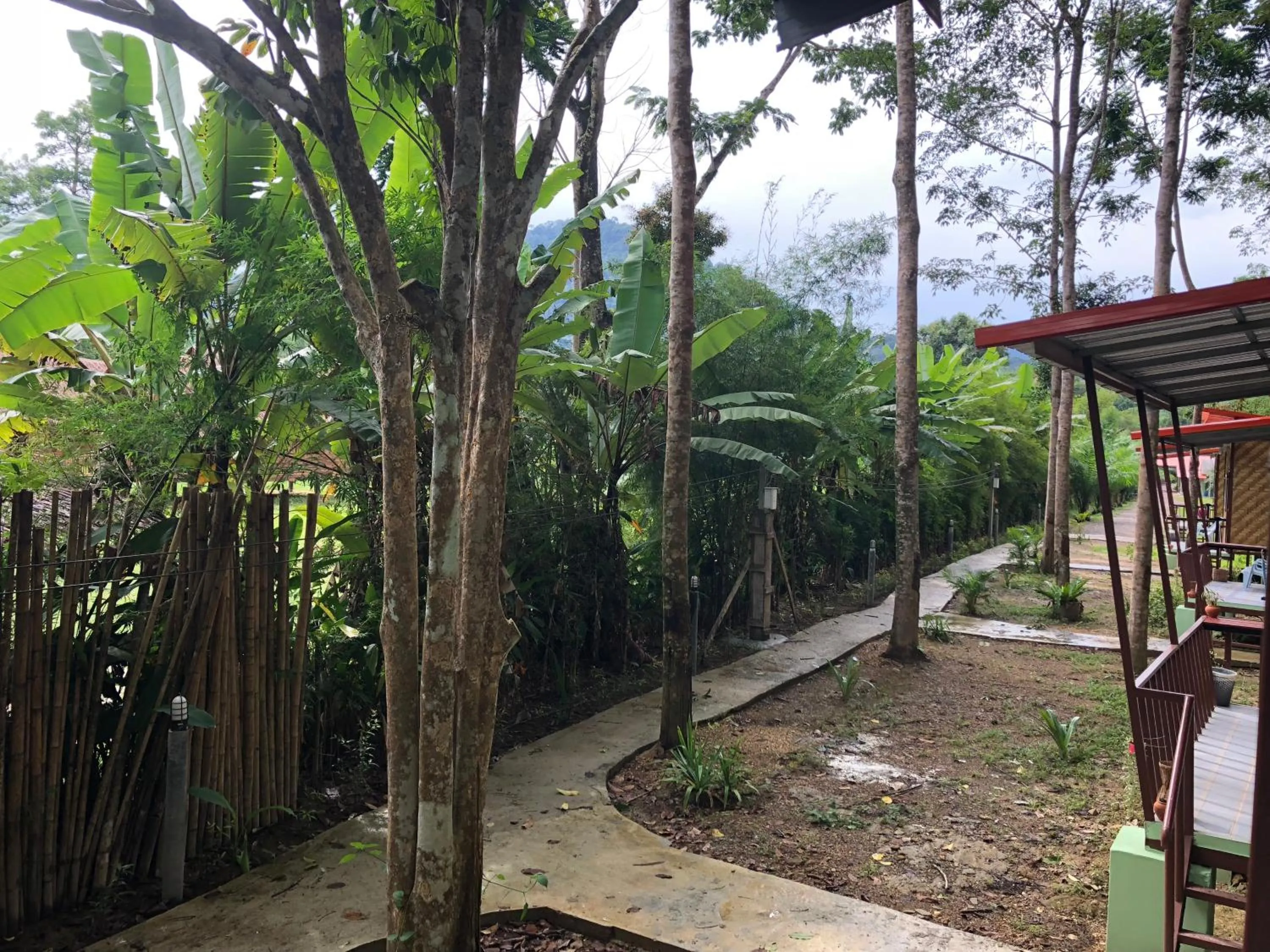 Other in Khaosok Bamboo Huts Resort