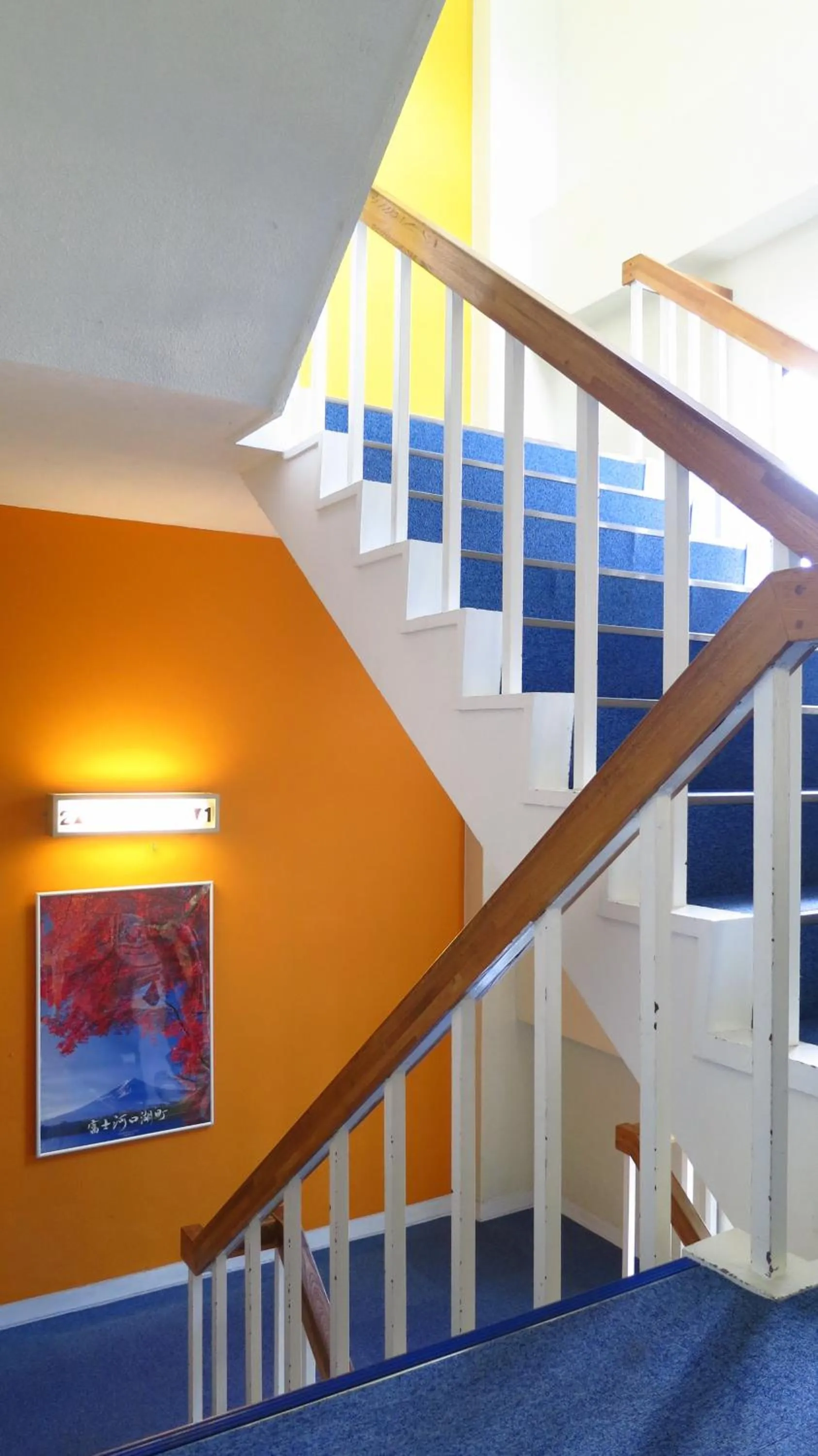 Other in K's House MtFuji -ケイズハウスMt富士- Travelers Hostel- Lake Kawaguchiko