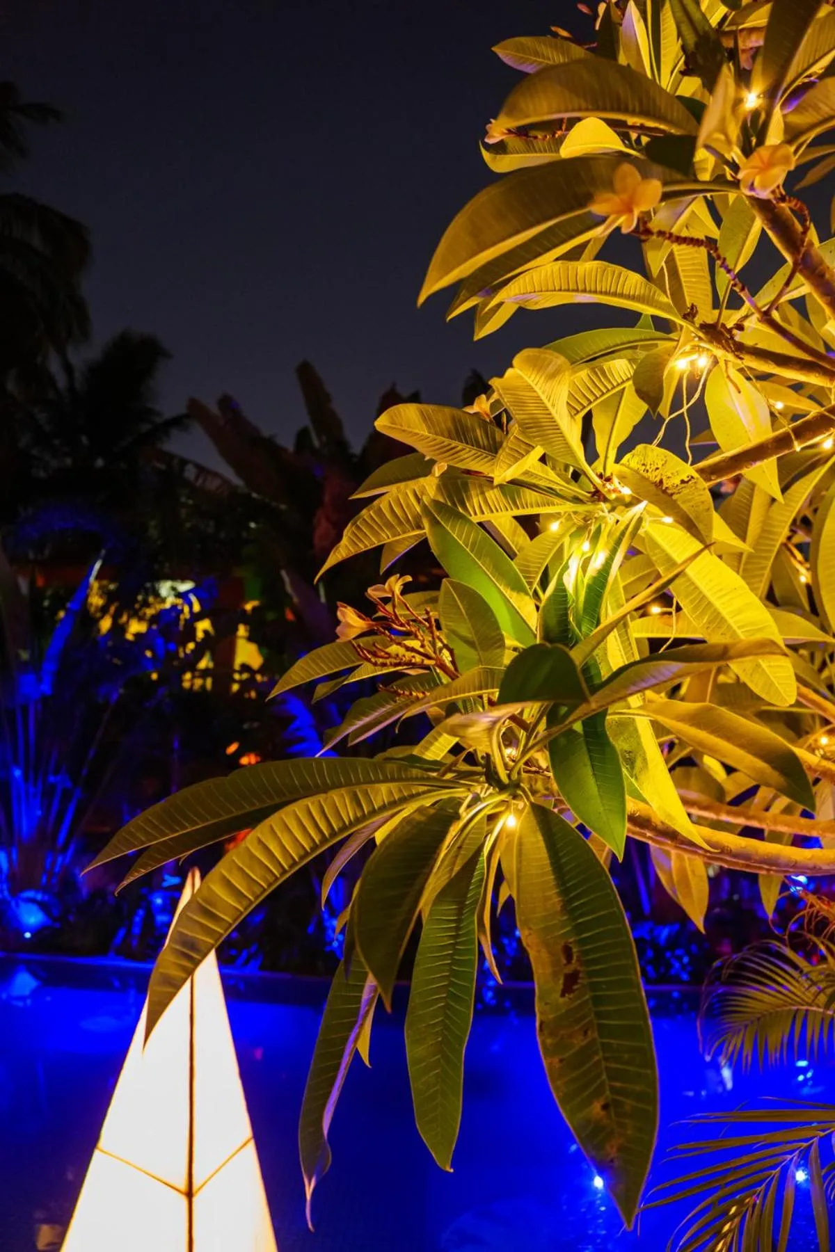 Pool view in The Park Baga River Goa - Adults only Property