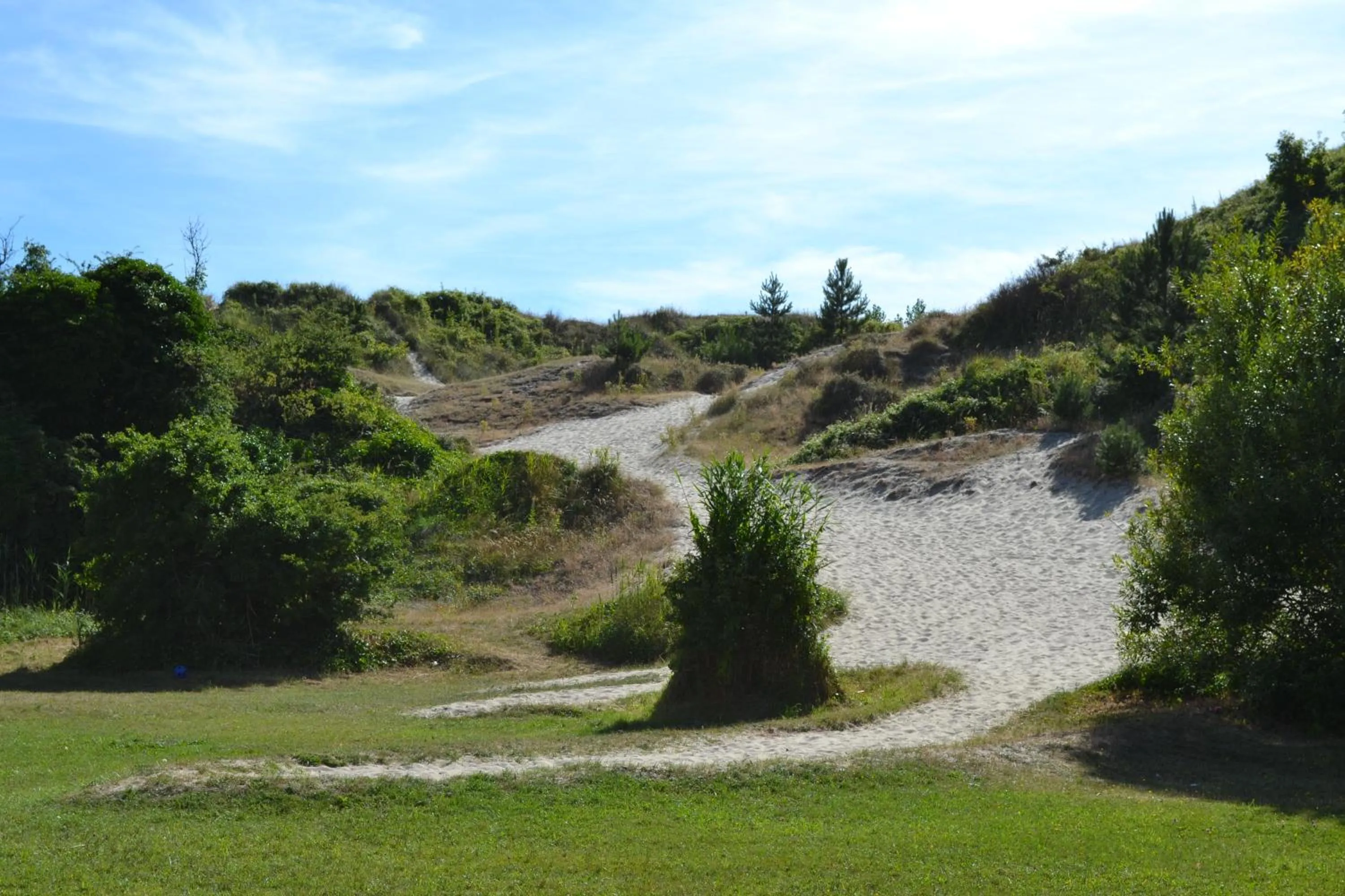 Natural landscape in Stella Maris